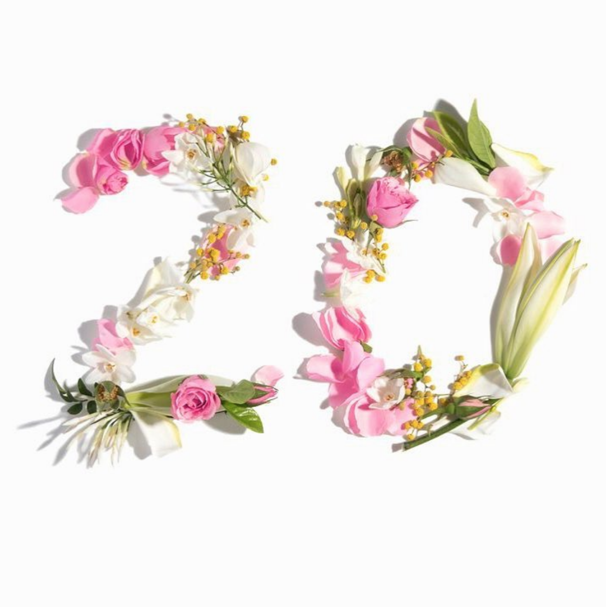 Screen Shot 2018-04-13 at 11.53.45 AM.png