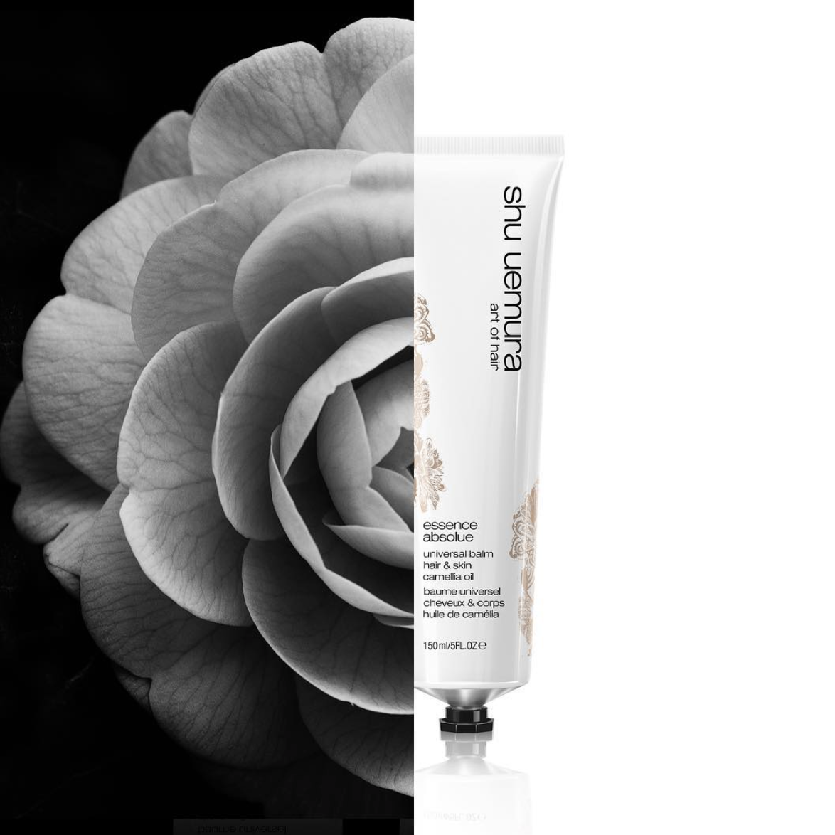Screen Shot 2019-10-25 at 12.17.43 AM.png