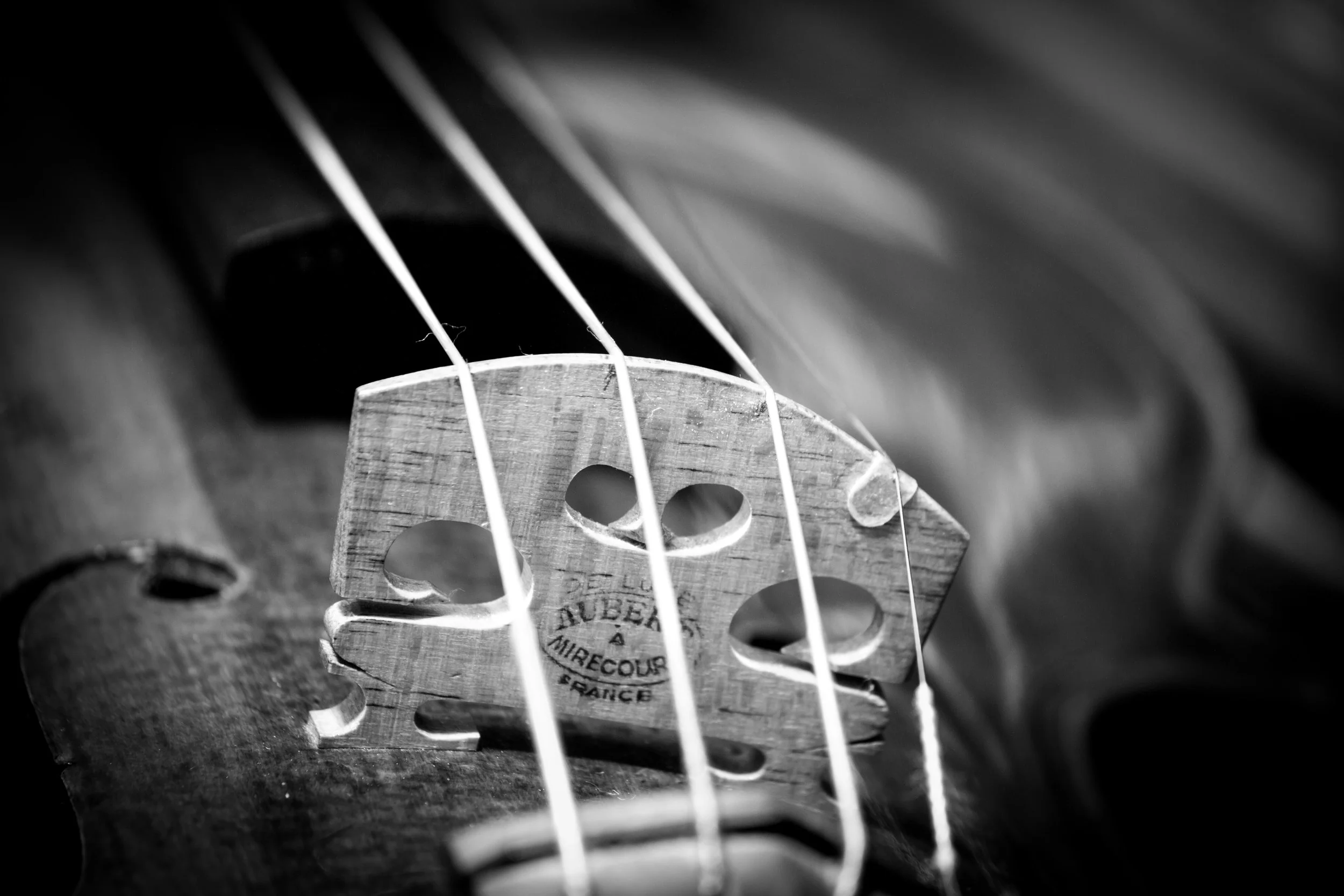 Alf Violin BW-Bridge.jpeg
