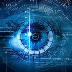 The Outlook for Term Life