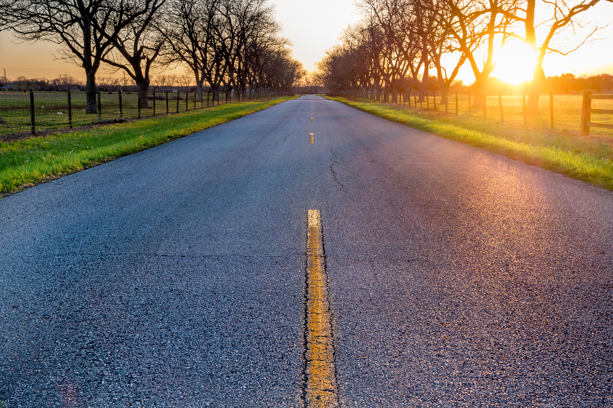  FOLLOW THE YELLOW STRIPPED ROAD