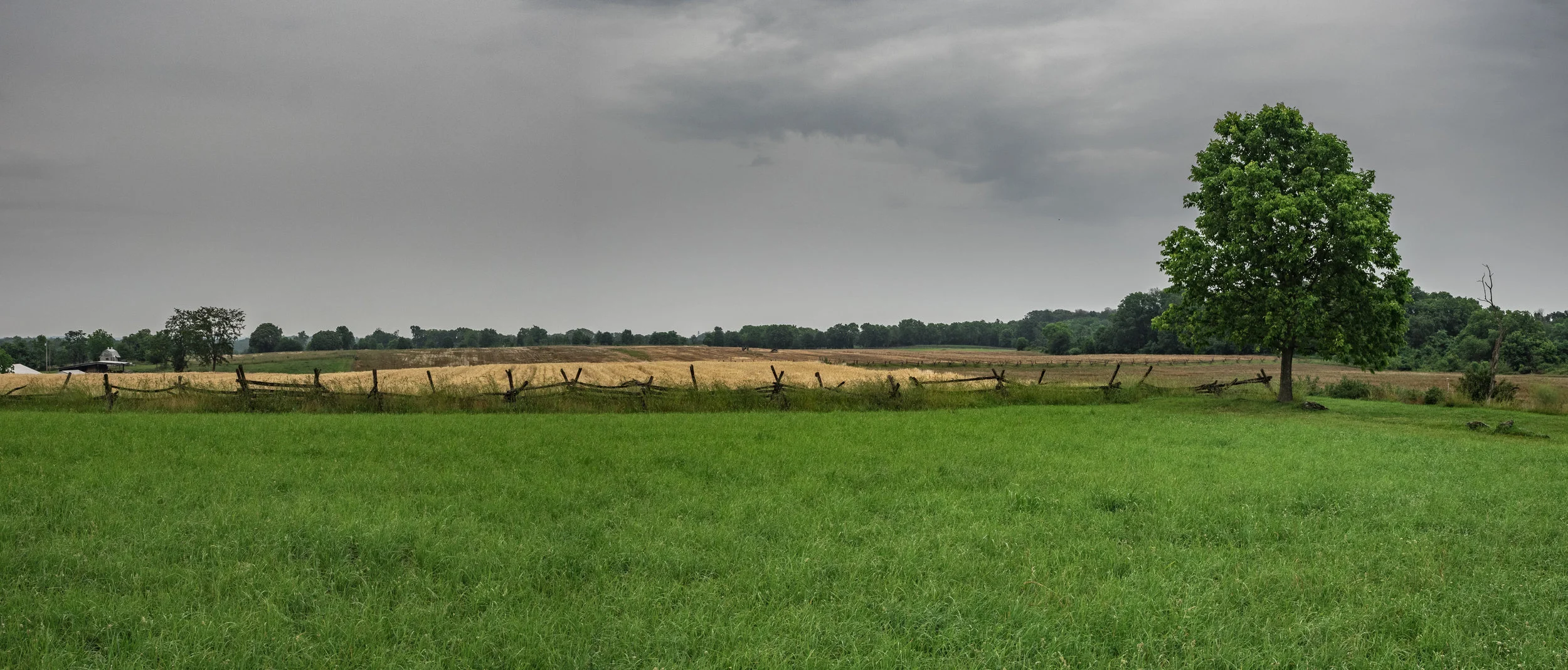 The Cornfield Dunker Church and the South's artillery.