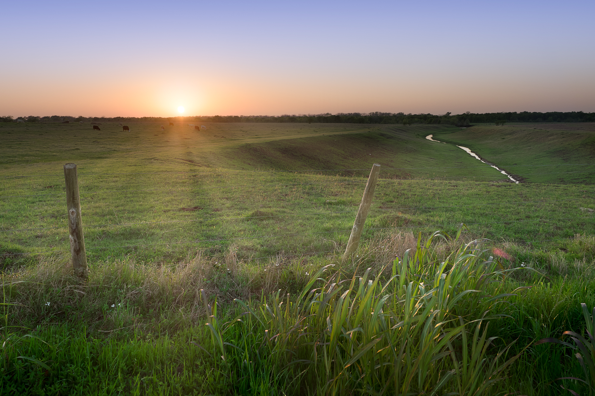 Simmonton Sunset-2.jpg