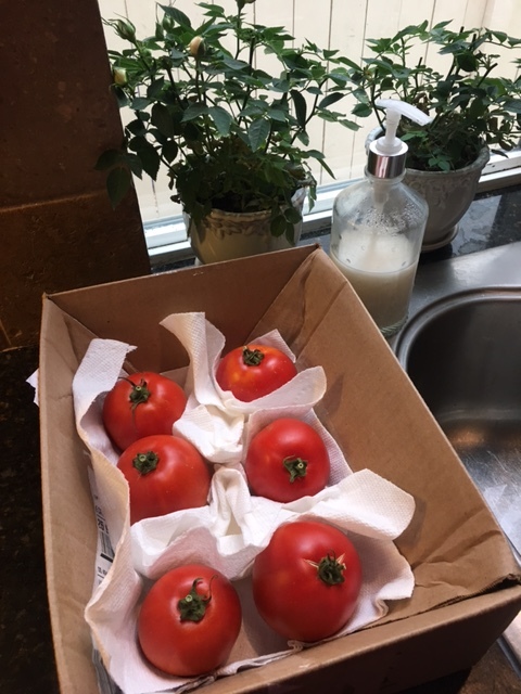 Beautiful tomatoes grown in Gene's garden and gifted to my family.