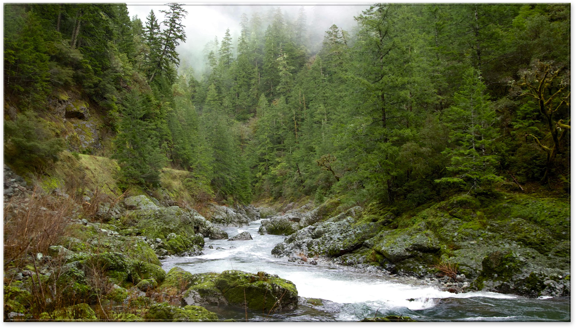 river2.png