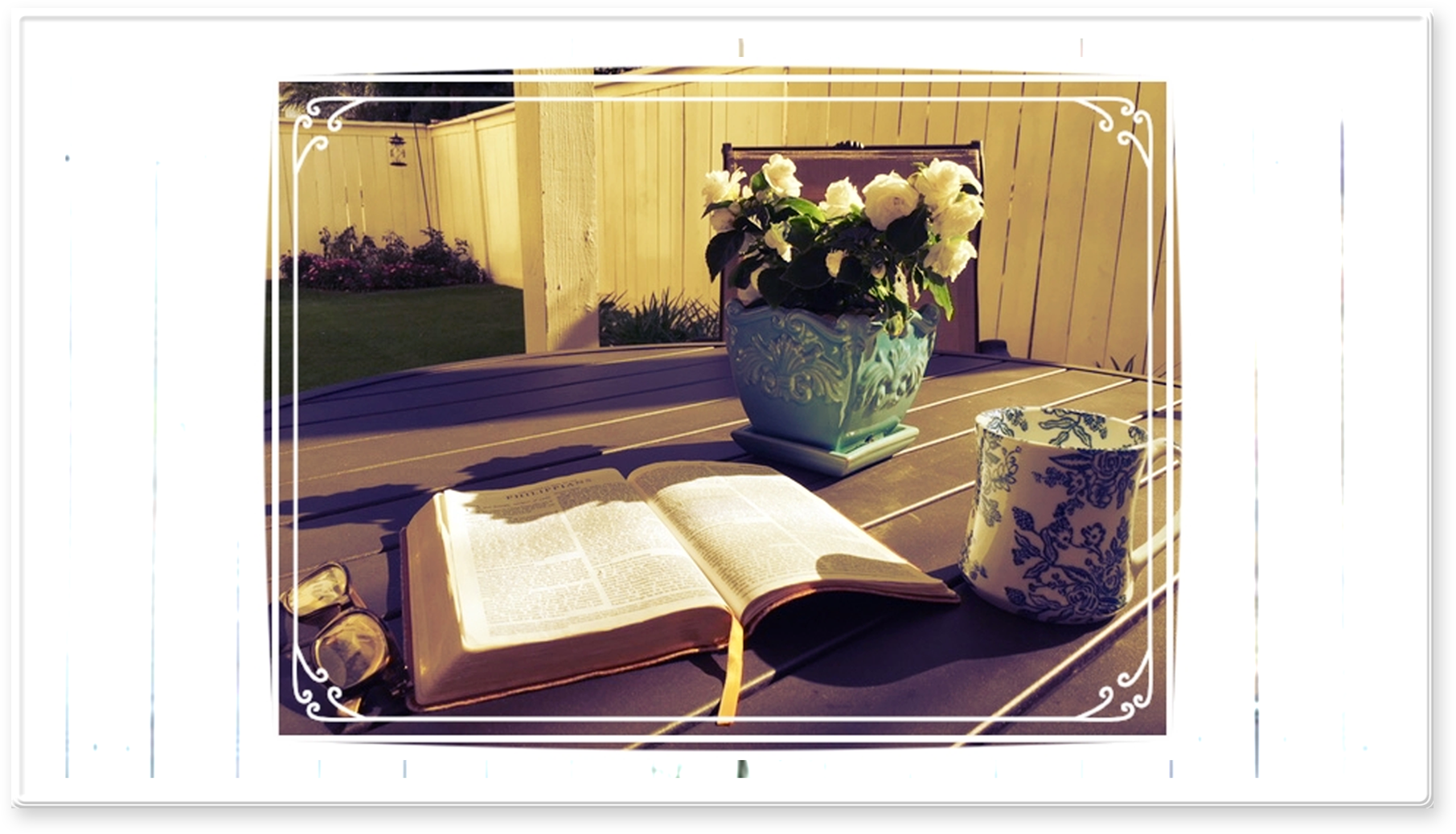 Backyard 2.png