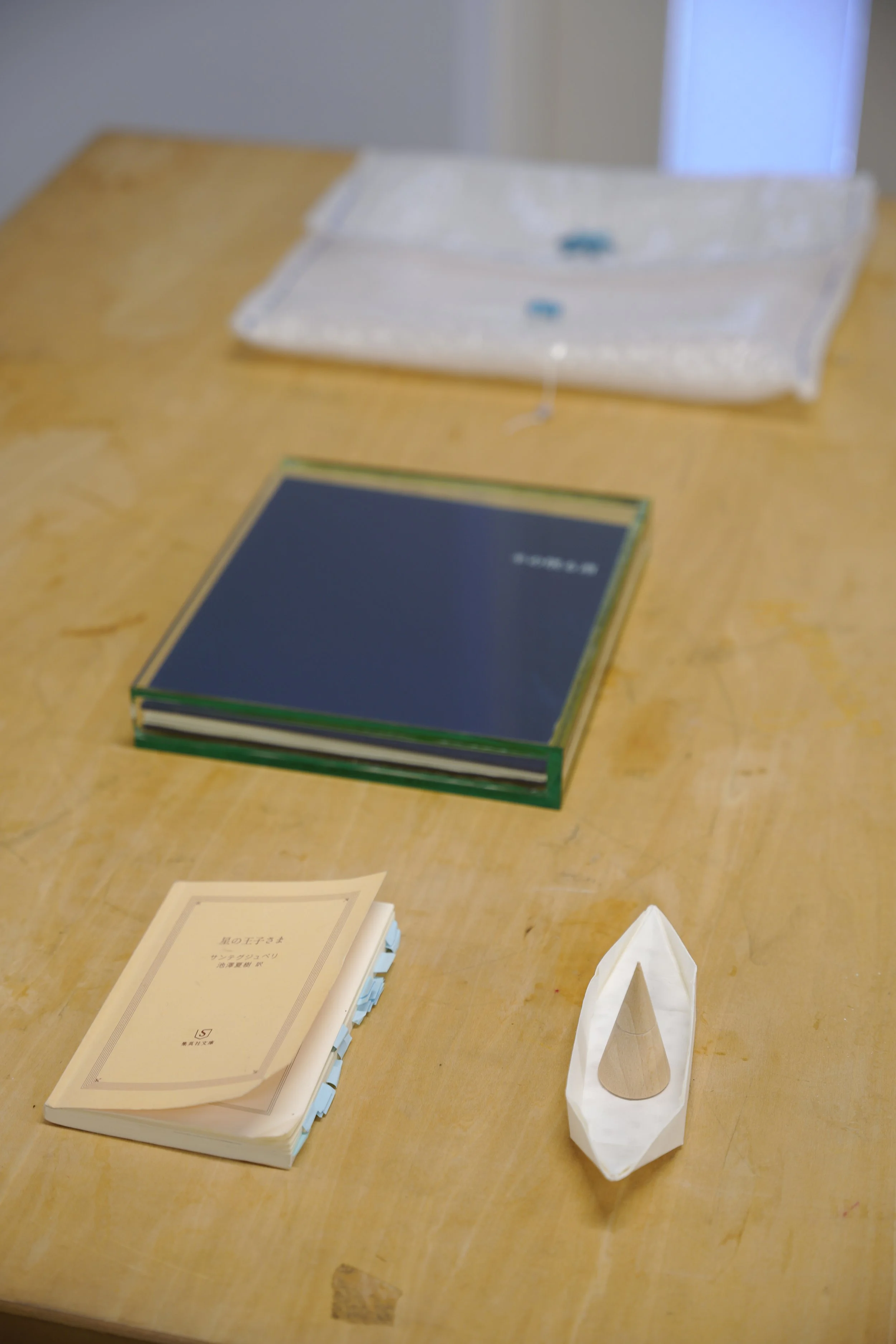 SDIM0658.JPG