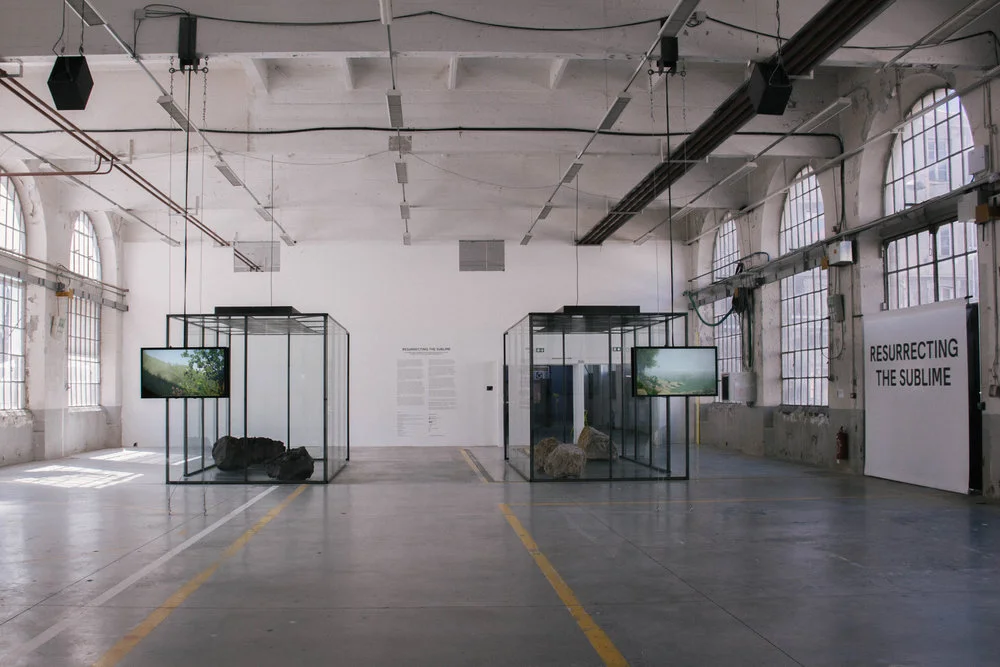 Resurrecting the Sublime at Biennale Internationale Design Saint-Étienne. Left: Hibiscadelphus wilderianus Rock (vitrine with smell diffusion, lava boulders, animation), right: Orbexilum stipulatum (vitrine with smell diffusion, limestone boulders, animation) March 2019.