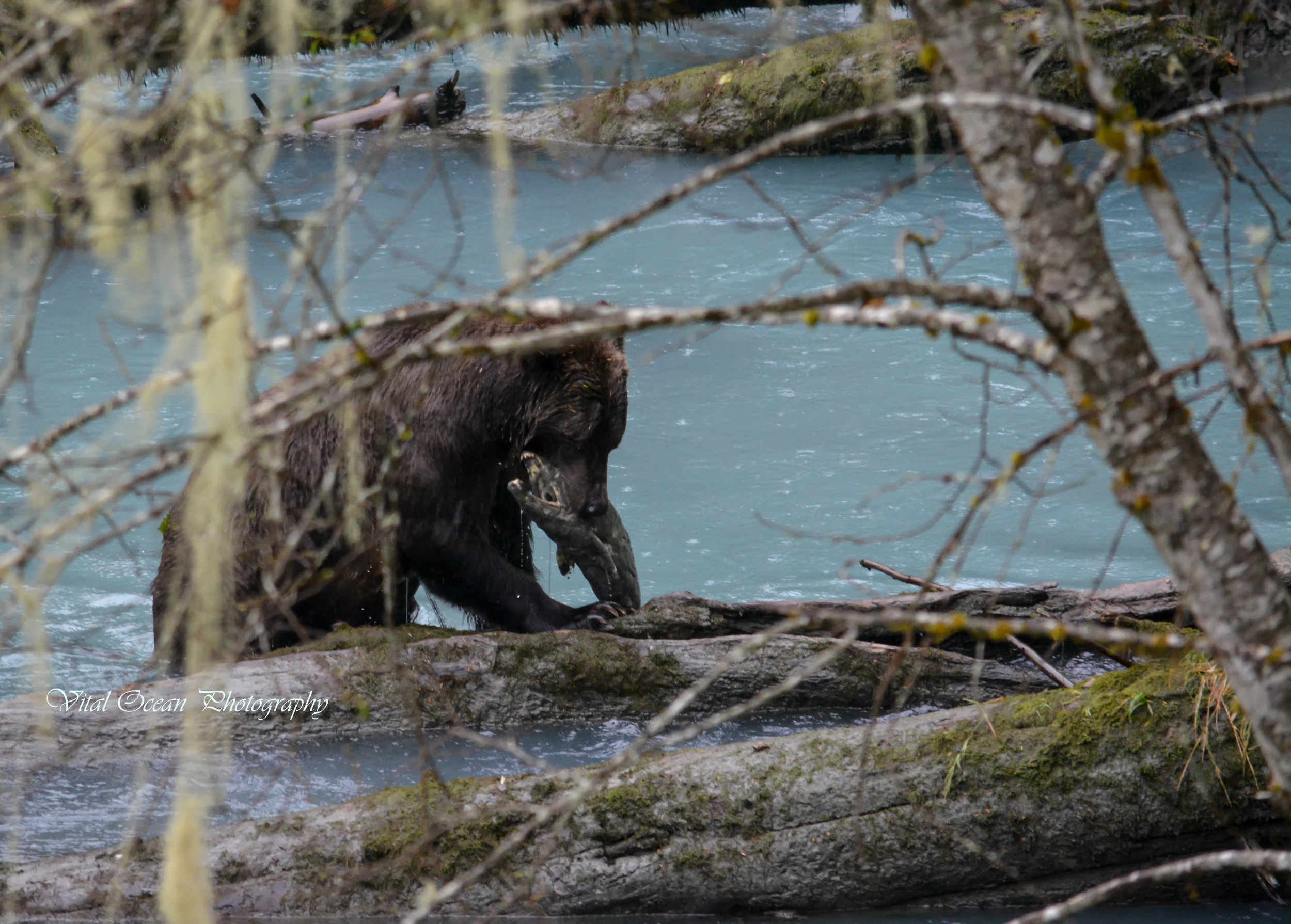 DSC_0743_1.jpg