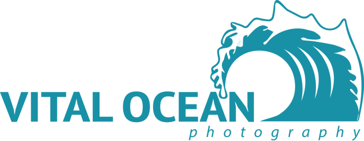 Vital Ocean Photography