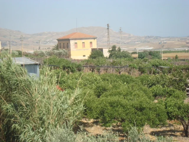 photo 29 SOP From A Far 2.JPG