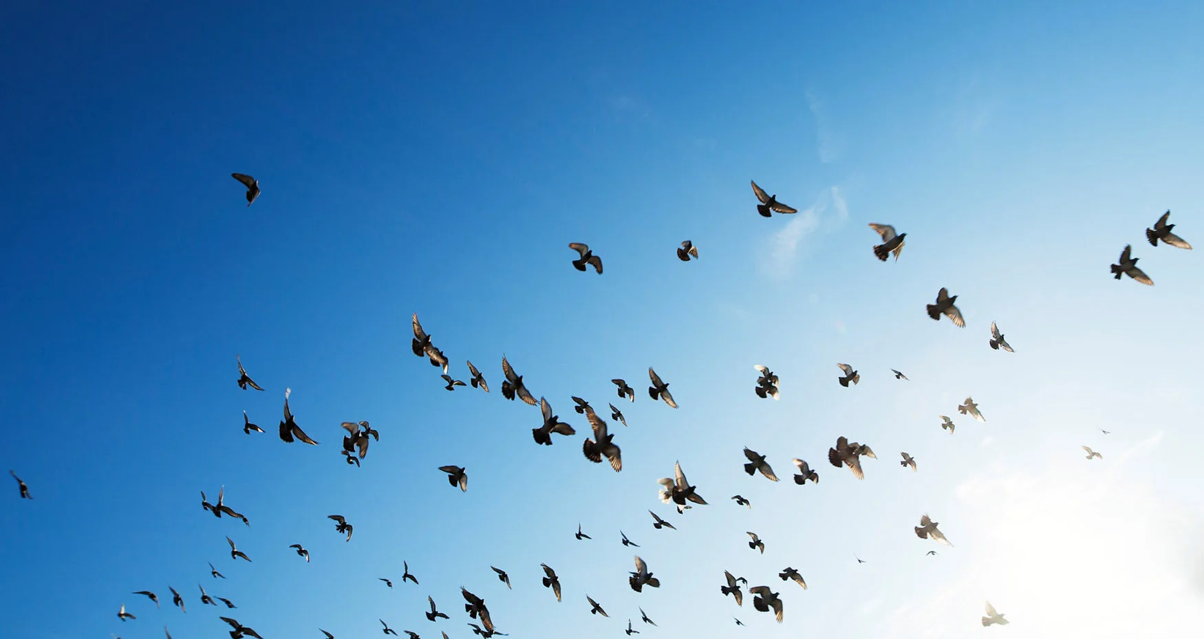 Adding momentum to your transformation