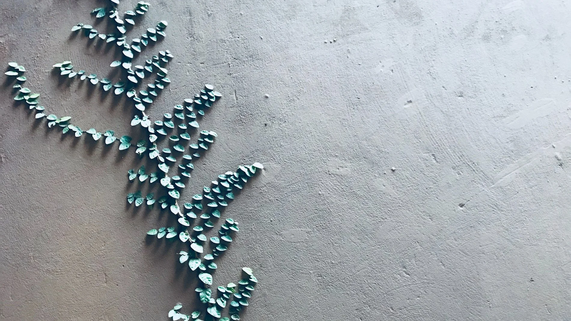 Matching communications and touch points to growth