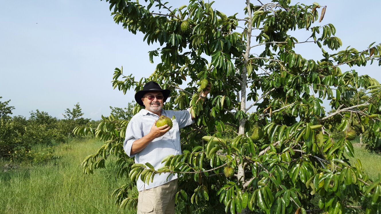 Lody picking fruit.jpg