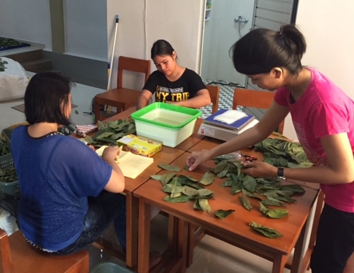 Sorting leaves.jpg