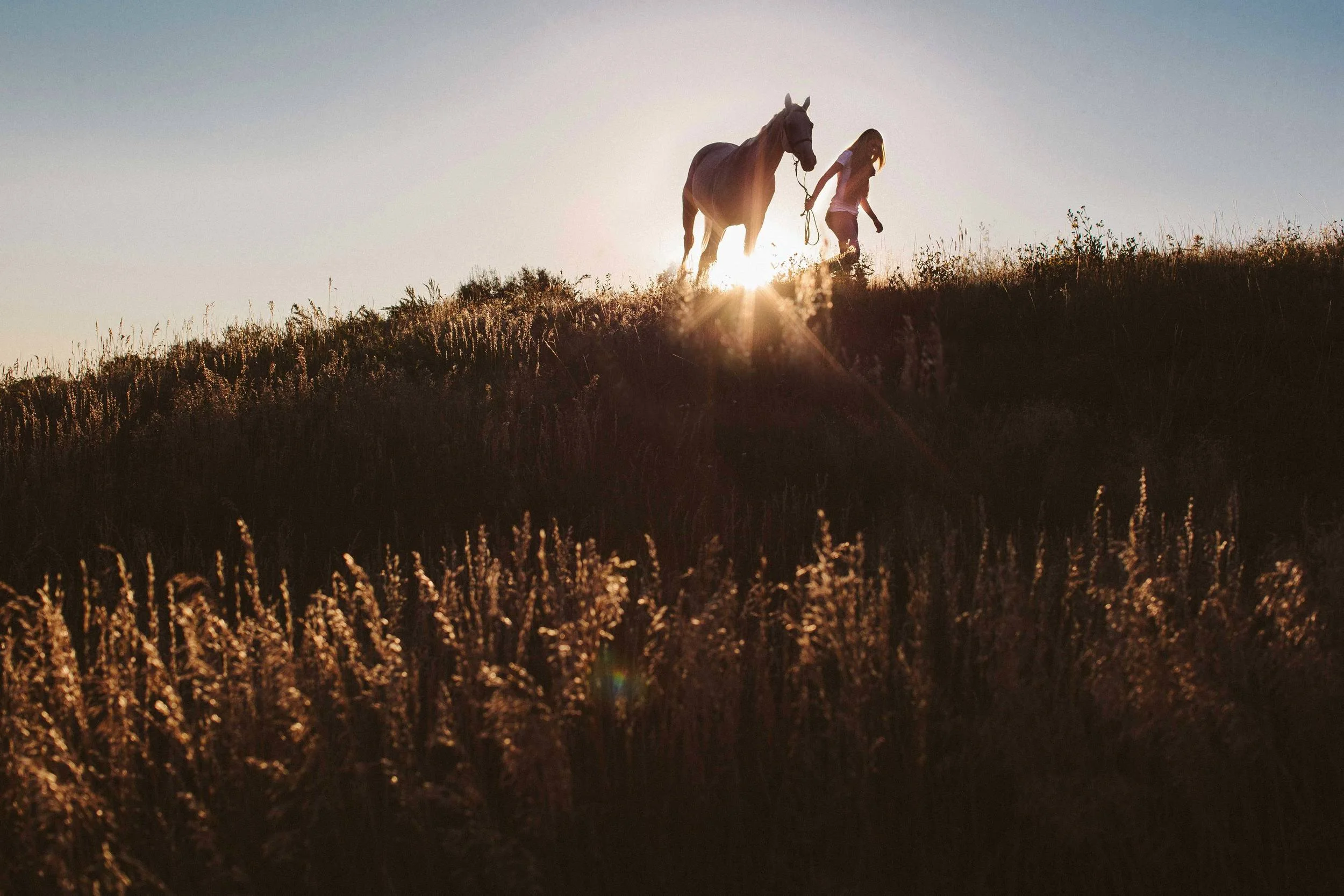 boulder senior photographer, boulder senior pictures, senior photos with horses