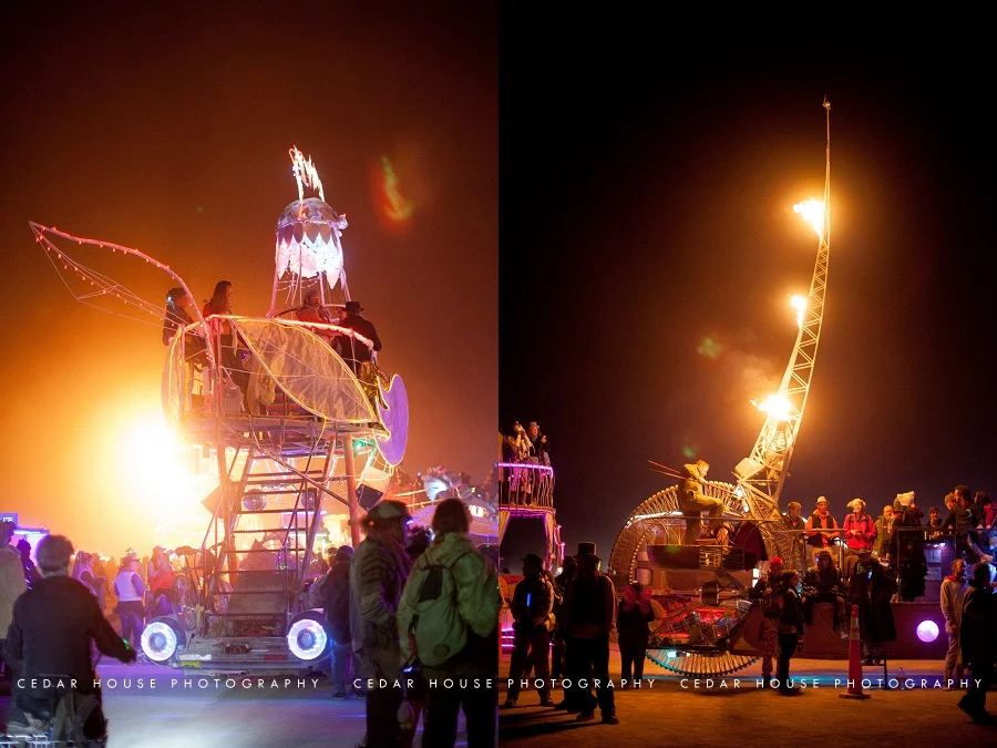 burning man, burning man 2015, playa, playa portraits, burning man photography, burning man photographer, burning man art