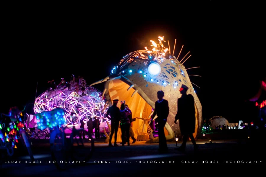 burning man, burning man 2015, playa, playa portraits, burning man photography, burning man photographer, burning man art