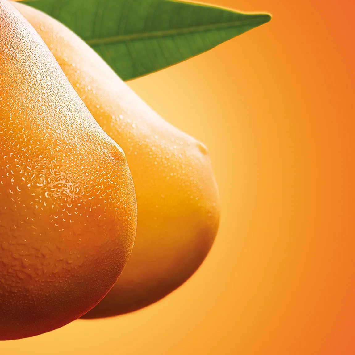 Adshel OH_MANGO.jpg