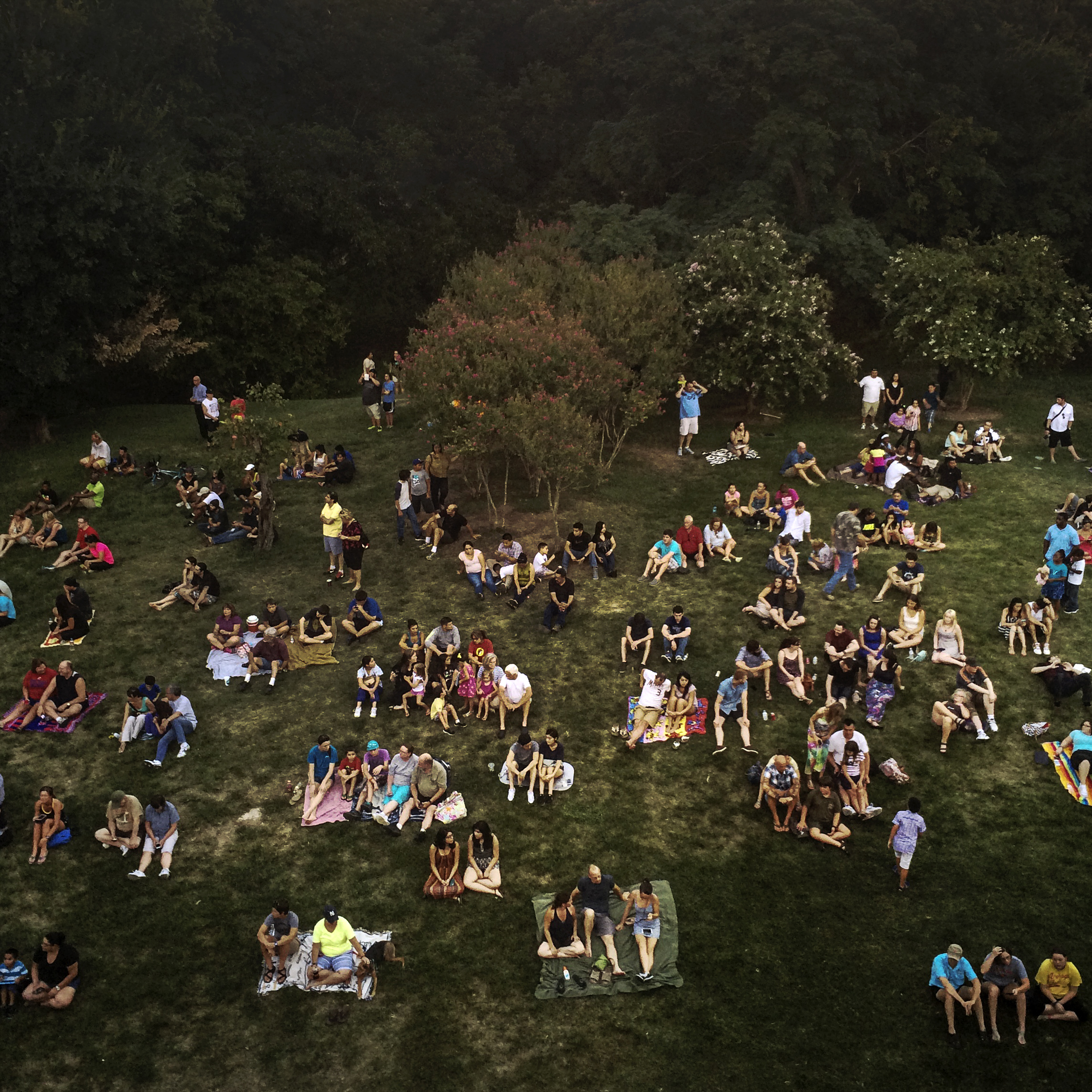 Waiting for the Bats, Austin, Texas, 2014