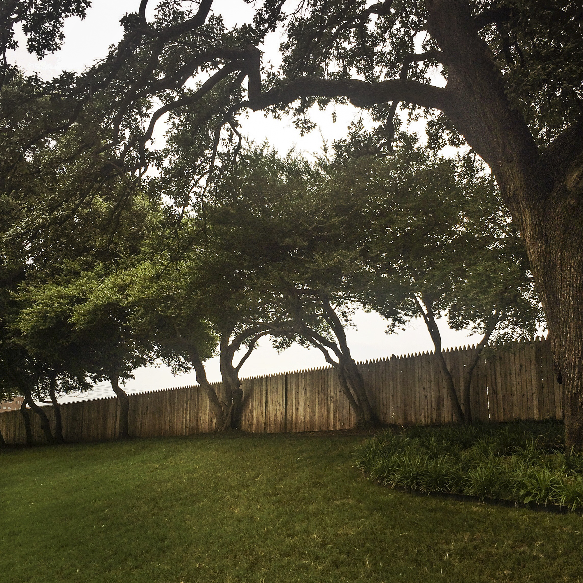 The Picket Fence, Dealy Plaza, Dallas, Texas, 2014