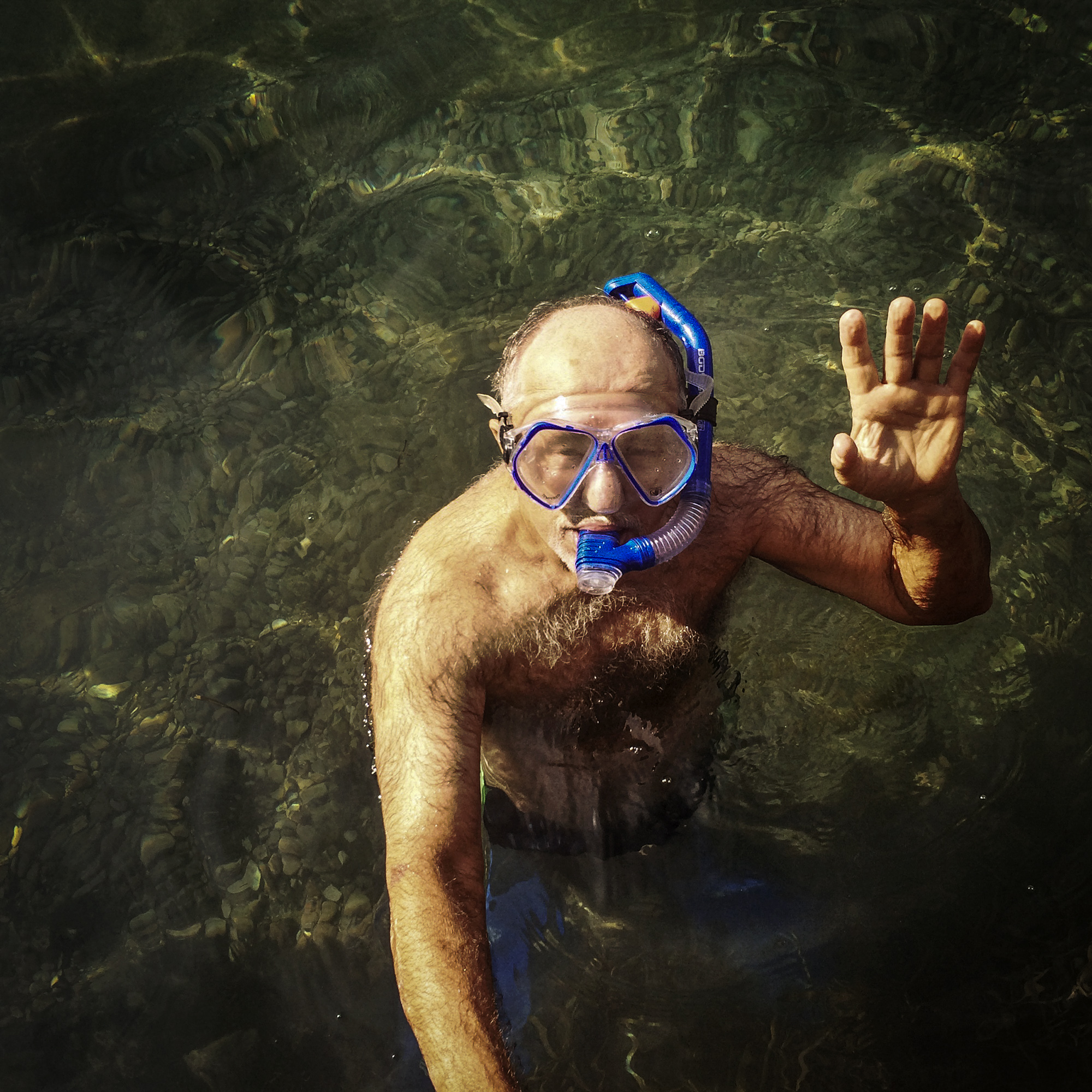 Barton Springs, Austin, Texas, 2014