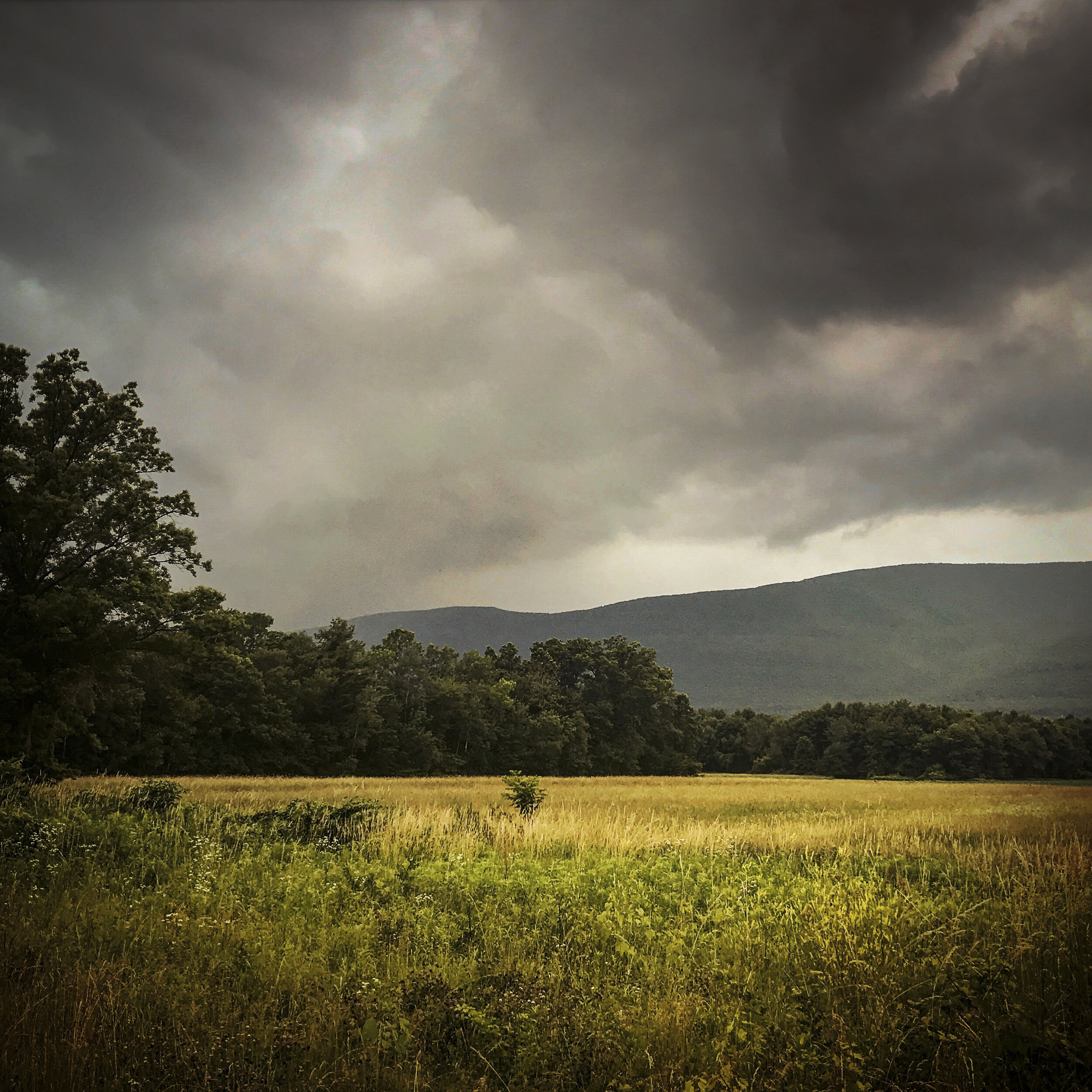 Woodstock, NY, 2017