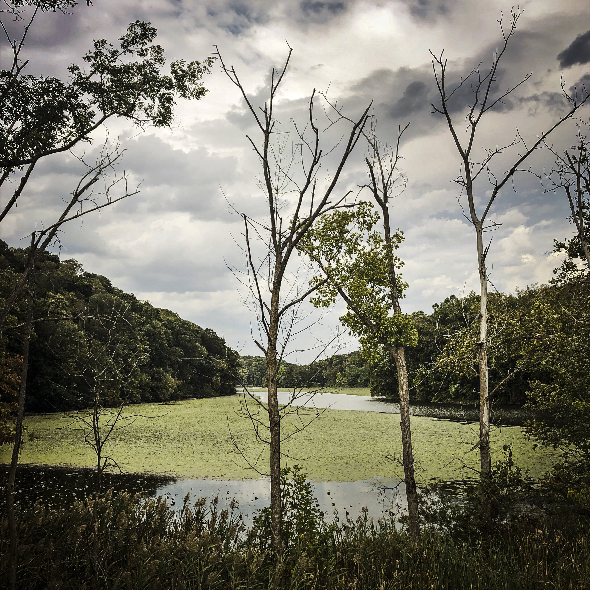 Wappinger Creek, NY, 2019