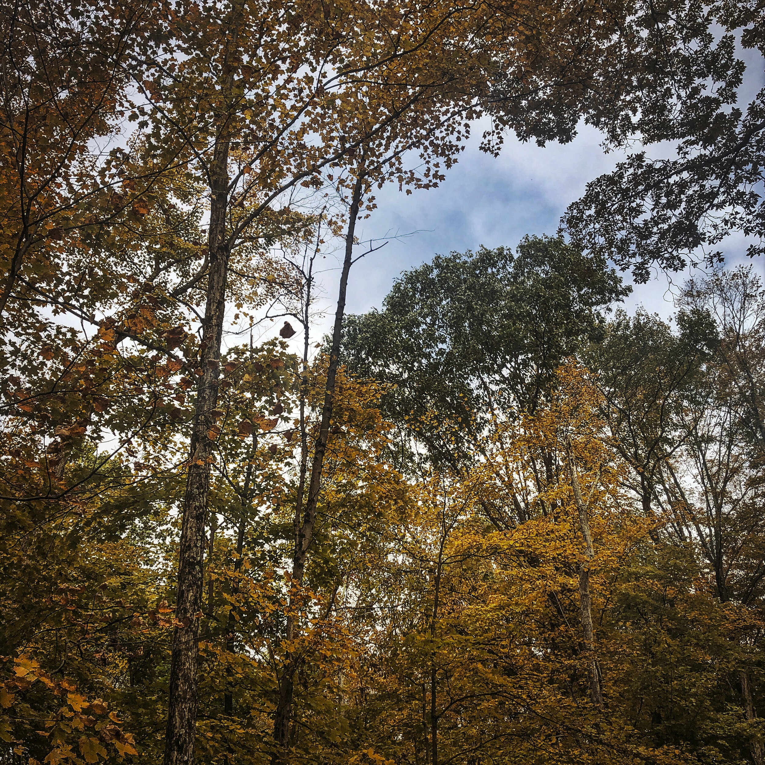 Hyde Park Trail, NY, 2019