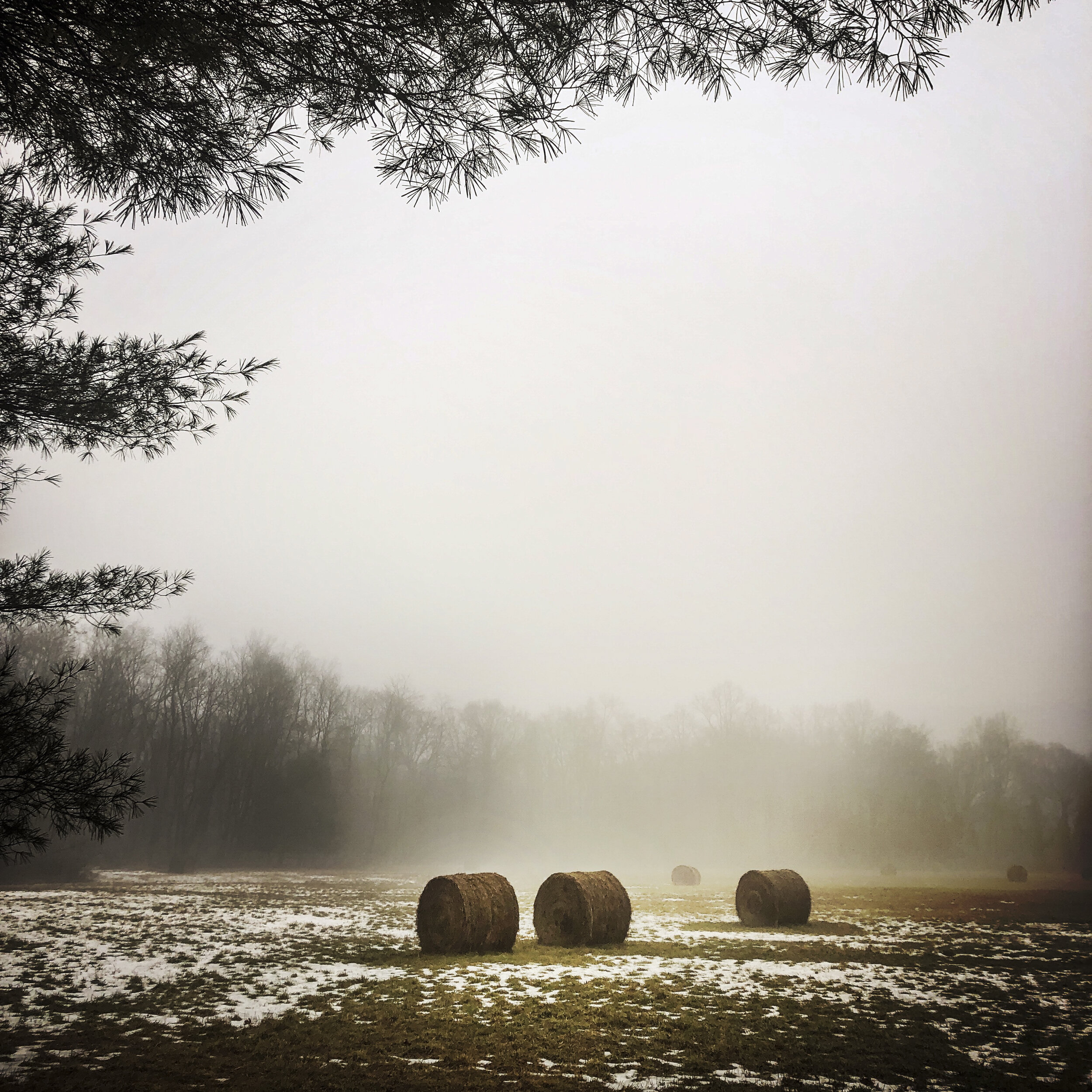 Hyde Park, NY, 2019