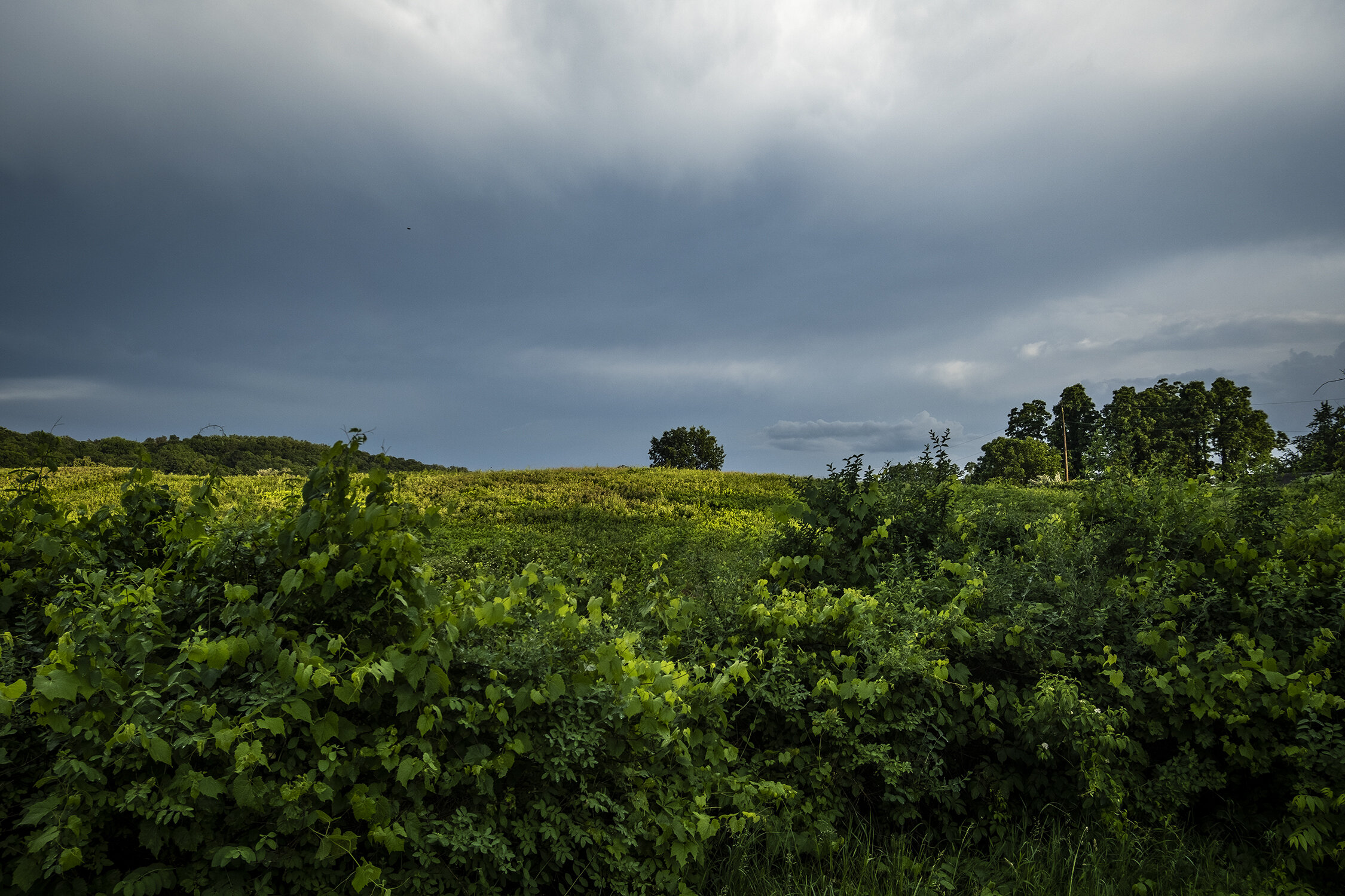 Staatsburg, NY