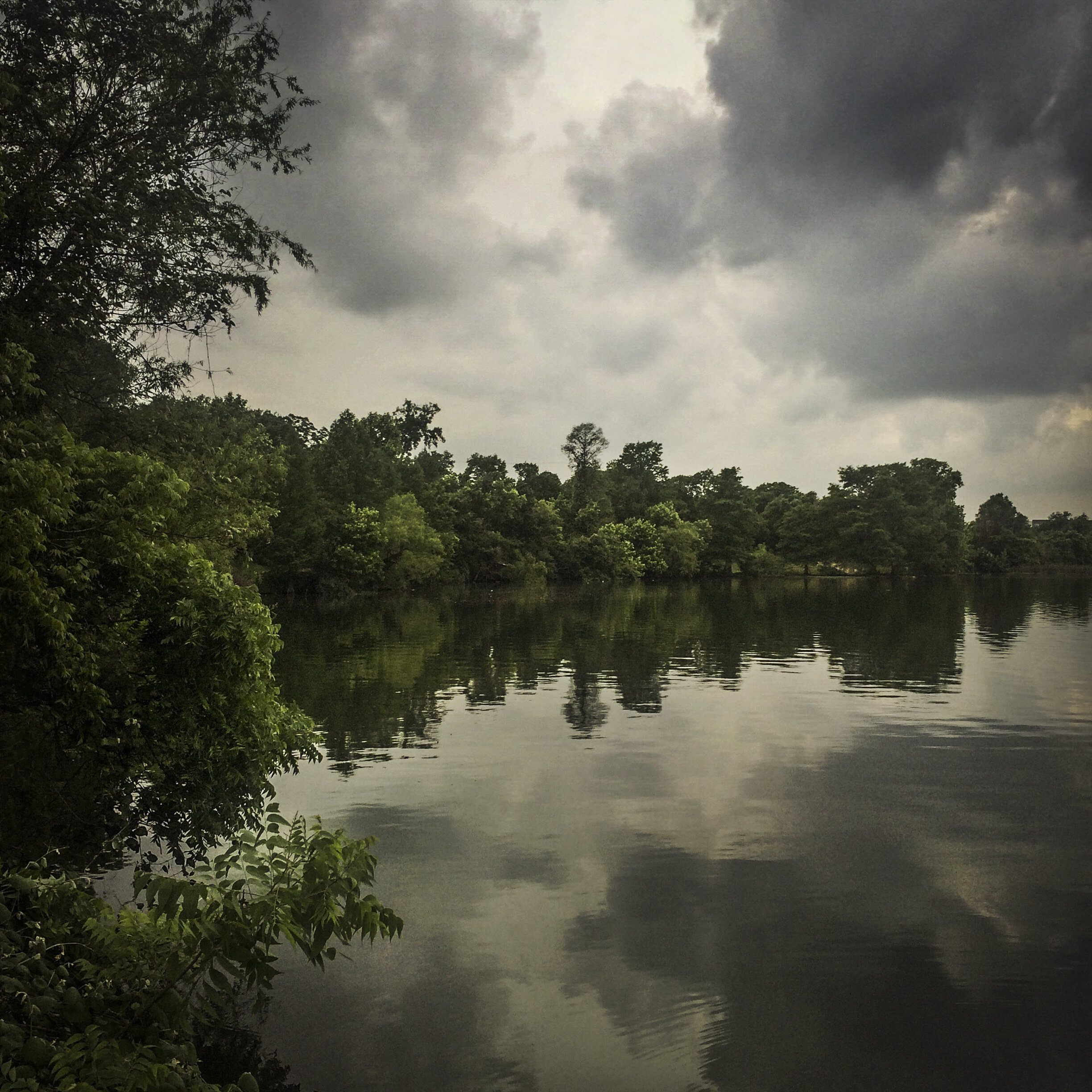 Lady Bird Lake, Austin, Texas, 2015