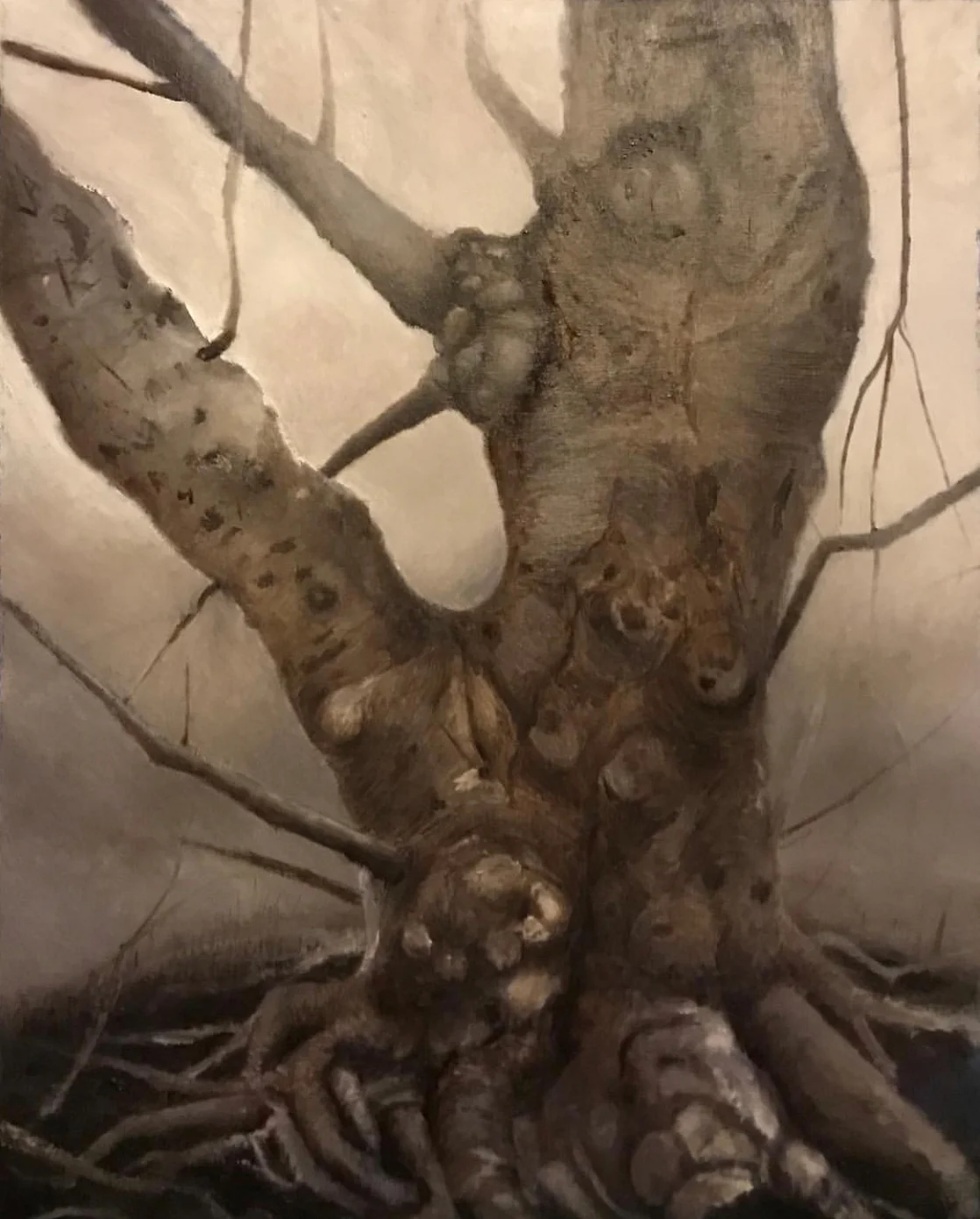 Tree 16” x 20” Oil on Paper