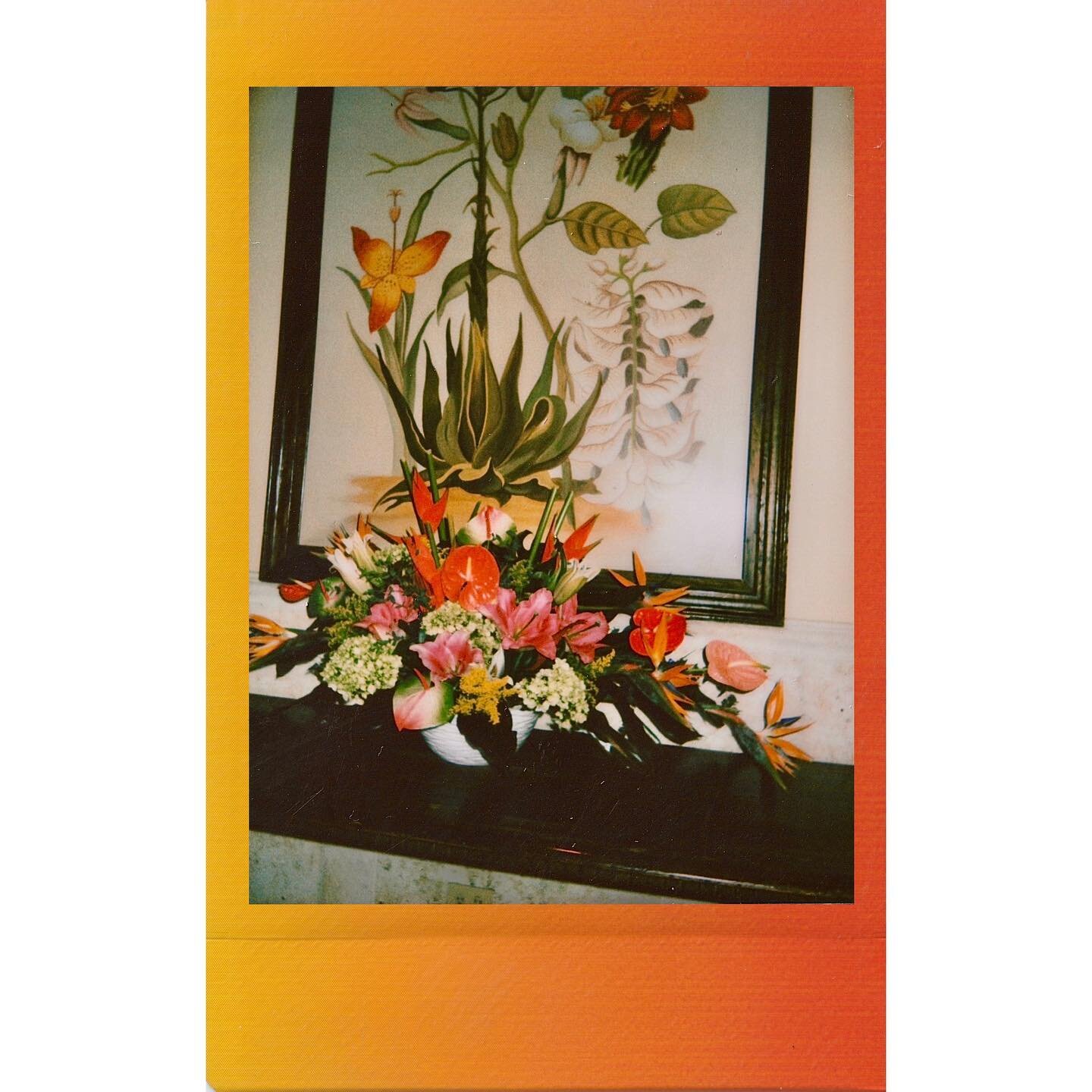 my favorite lil snaps from Cancun last month #consumedbythebloom