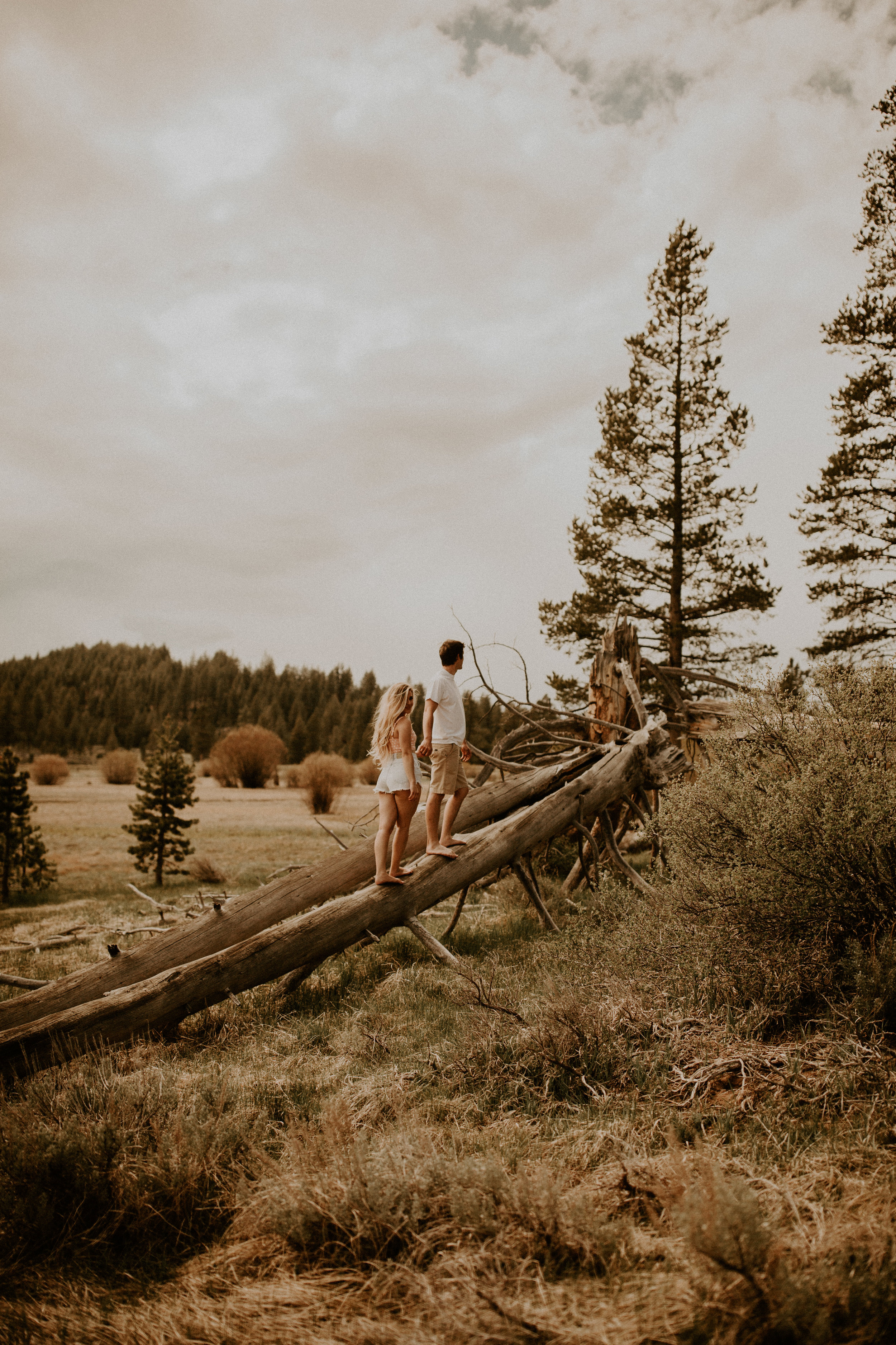 untitled (56 of 294).JPG