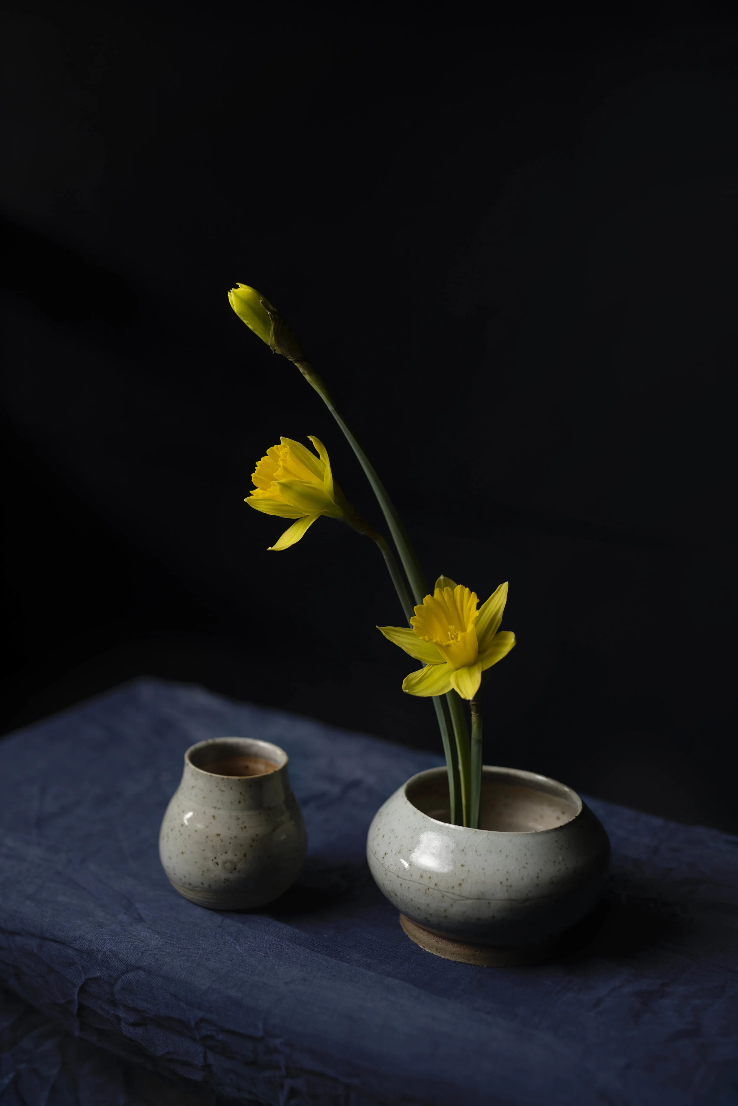 Daffodil & Ceramic Portrait Foxglove Studio,  Vidak Arts