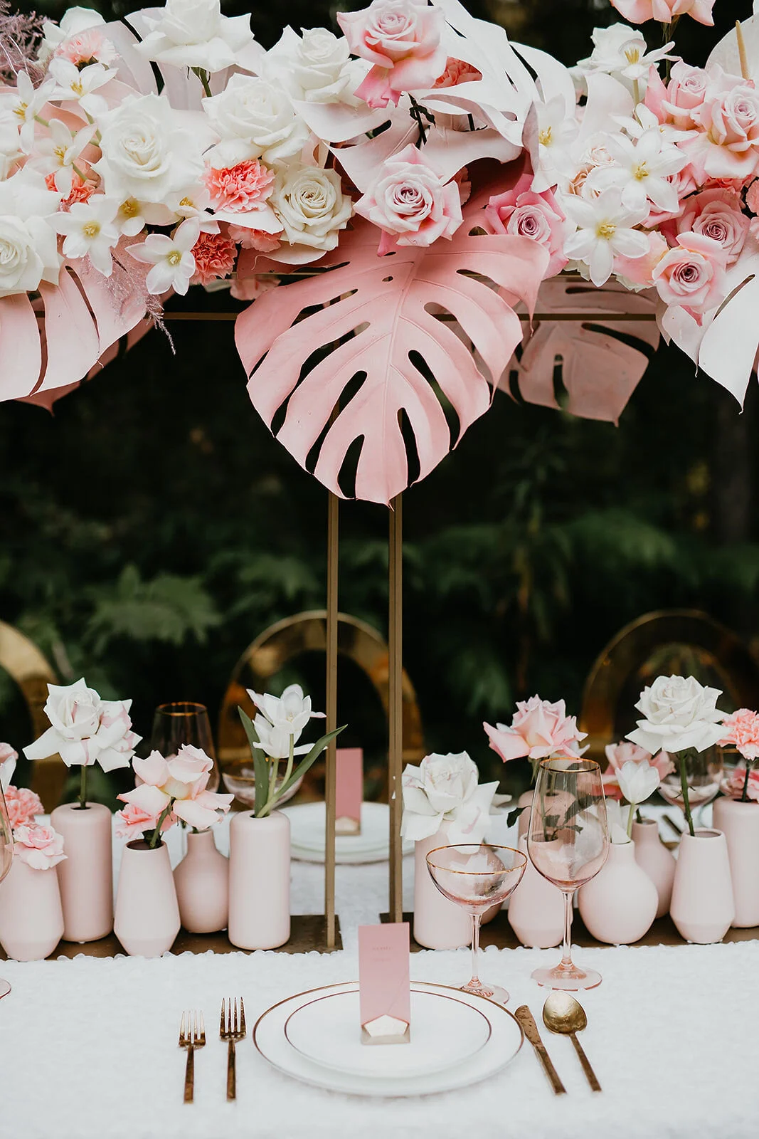 Nikki Colette Photography