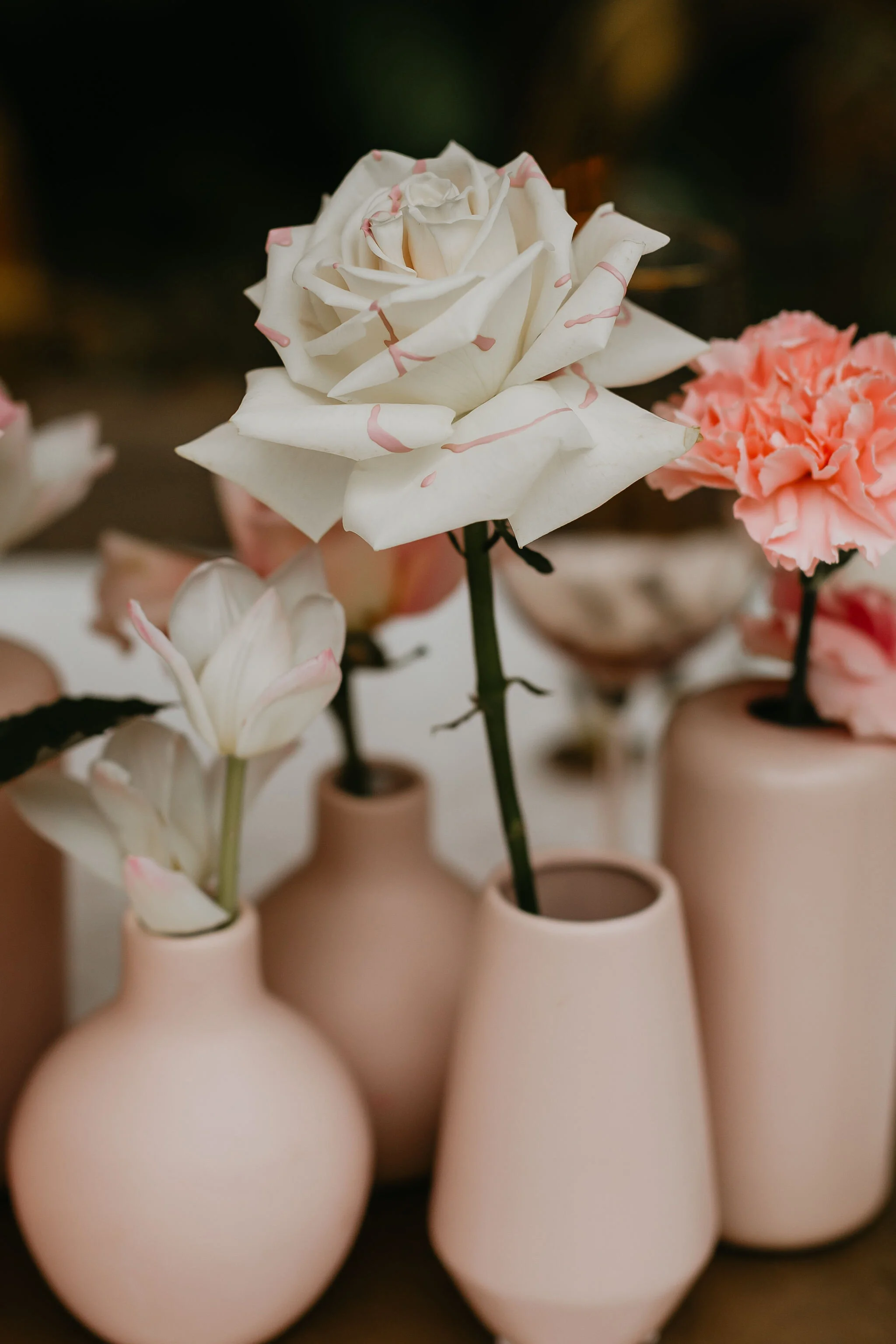 NikkiCollettePhotography-59.jpg