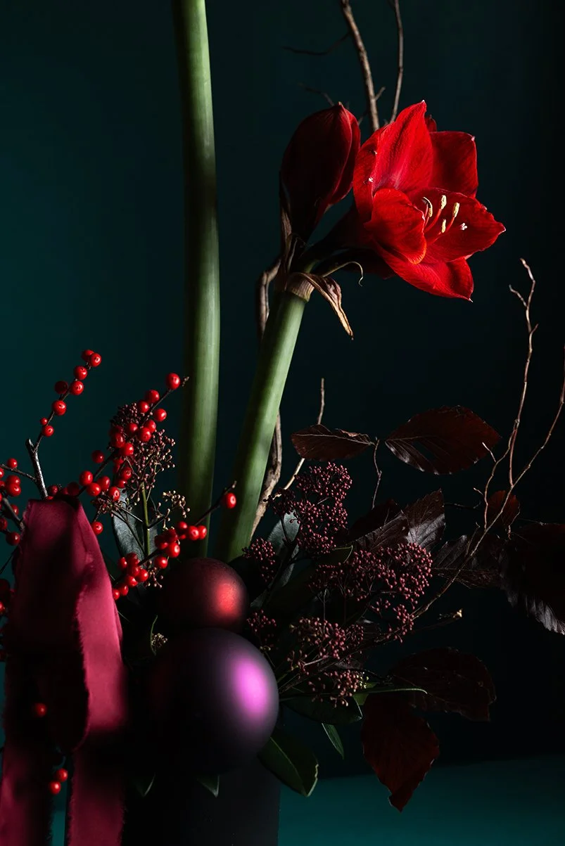 AMARYLLIS2.jpg