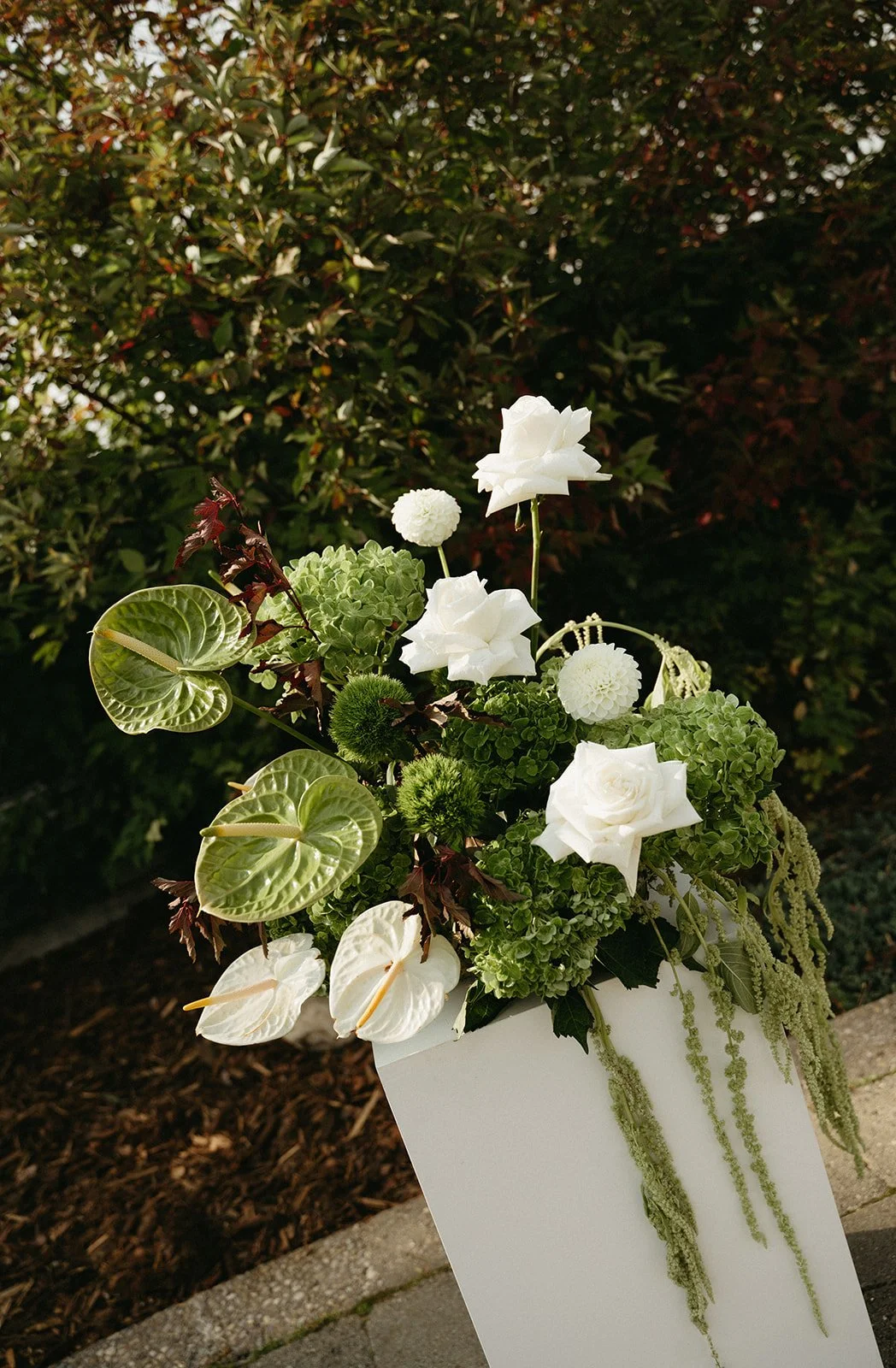 H %2b P Ceremony -3.jpg