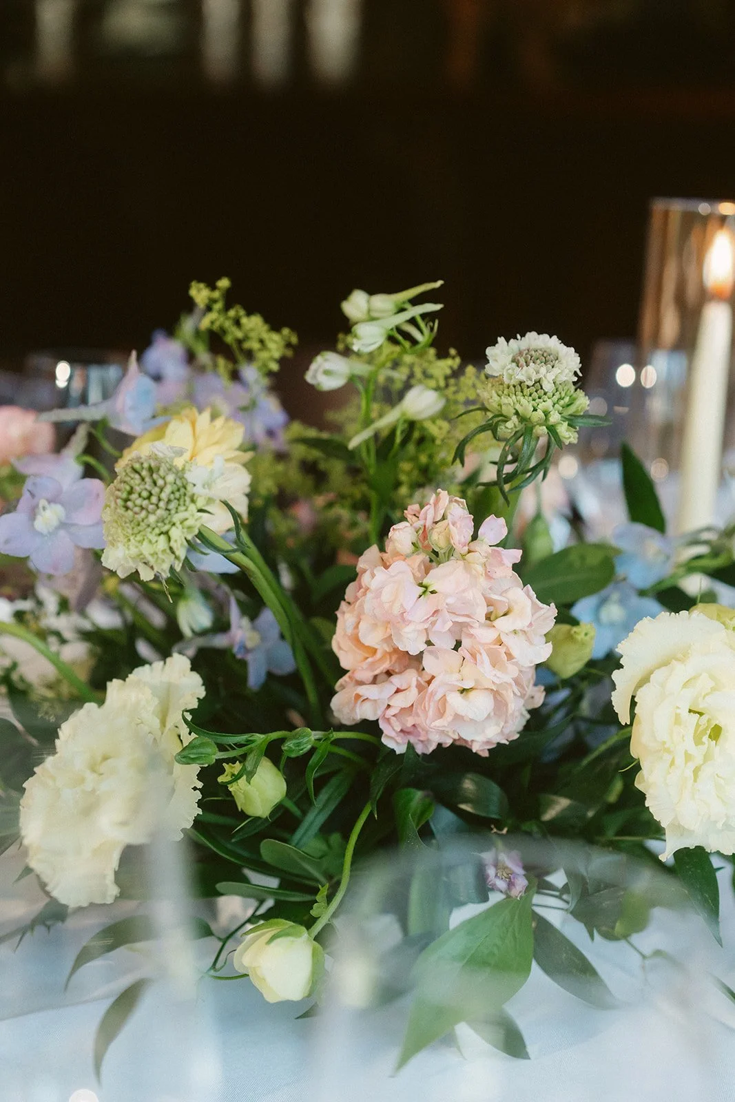 Brodie & Morgan -2.jpg