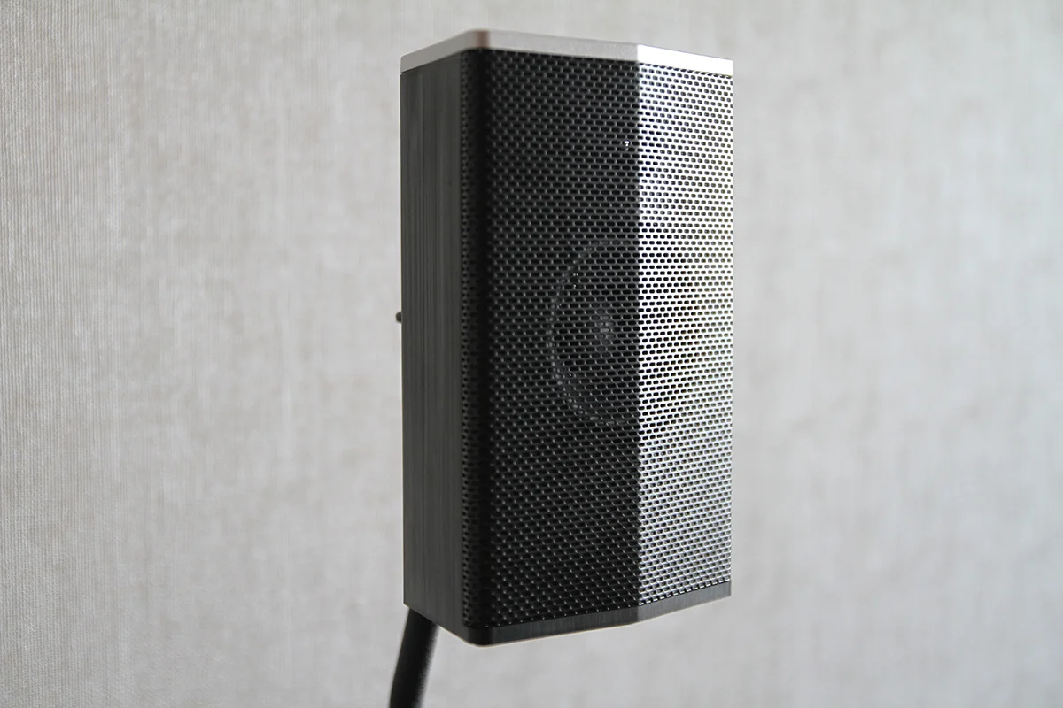 Rear Satellite Speaker