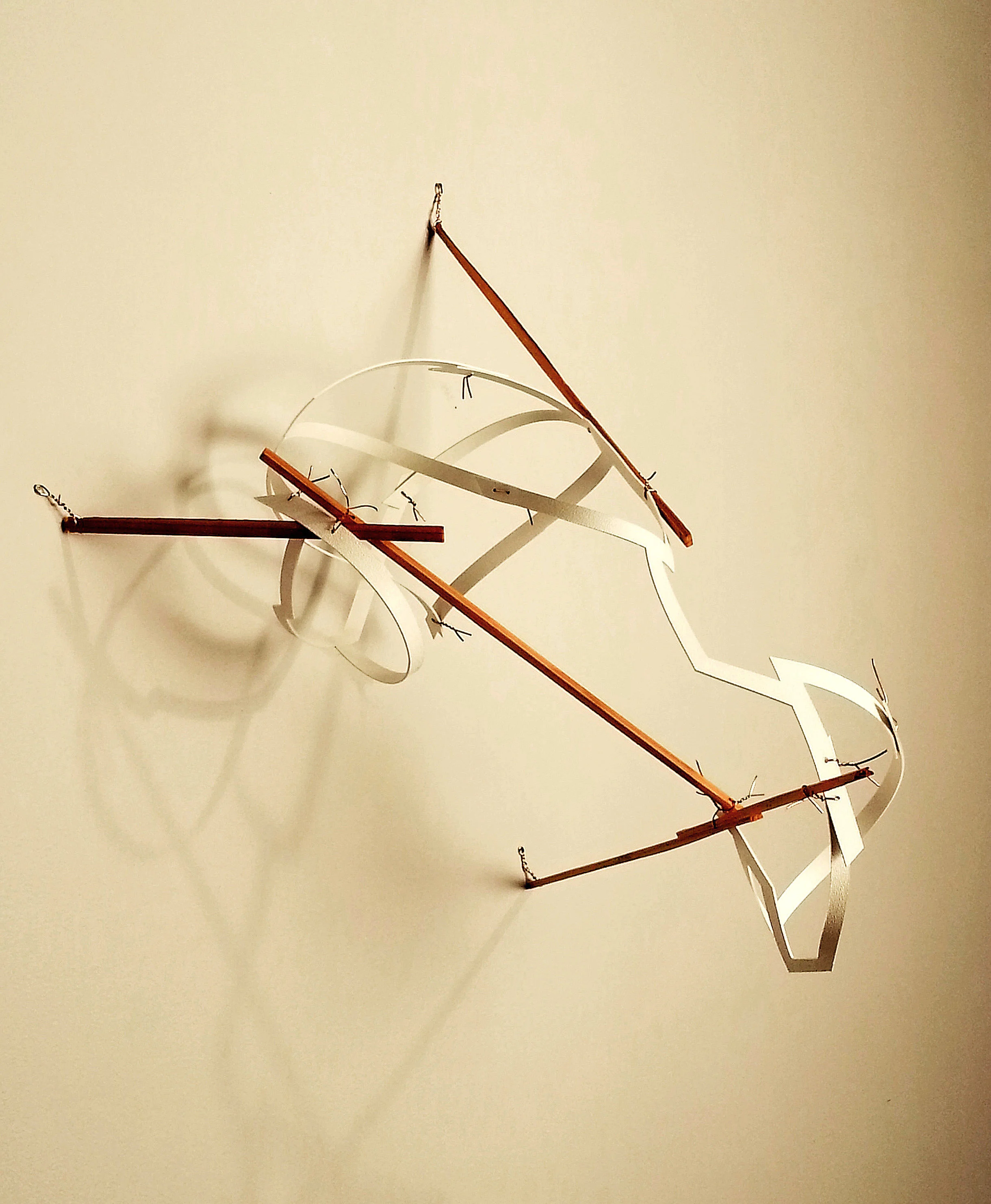 Wall Walker 2