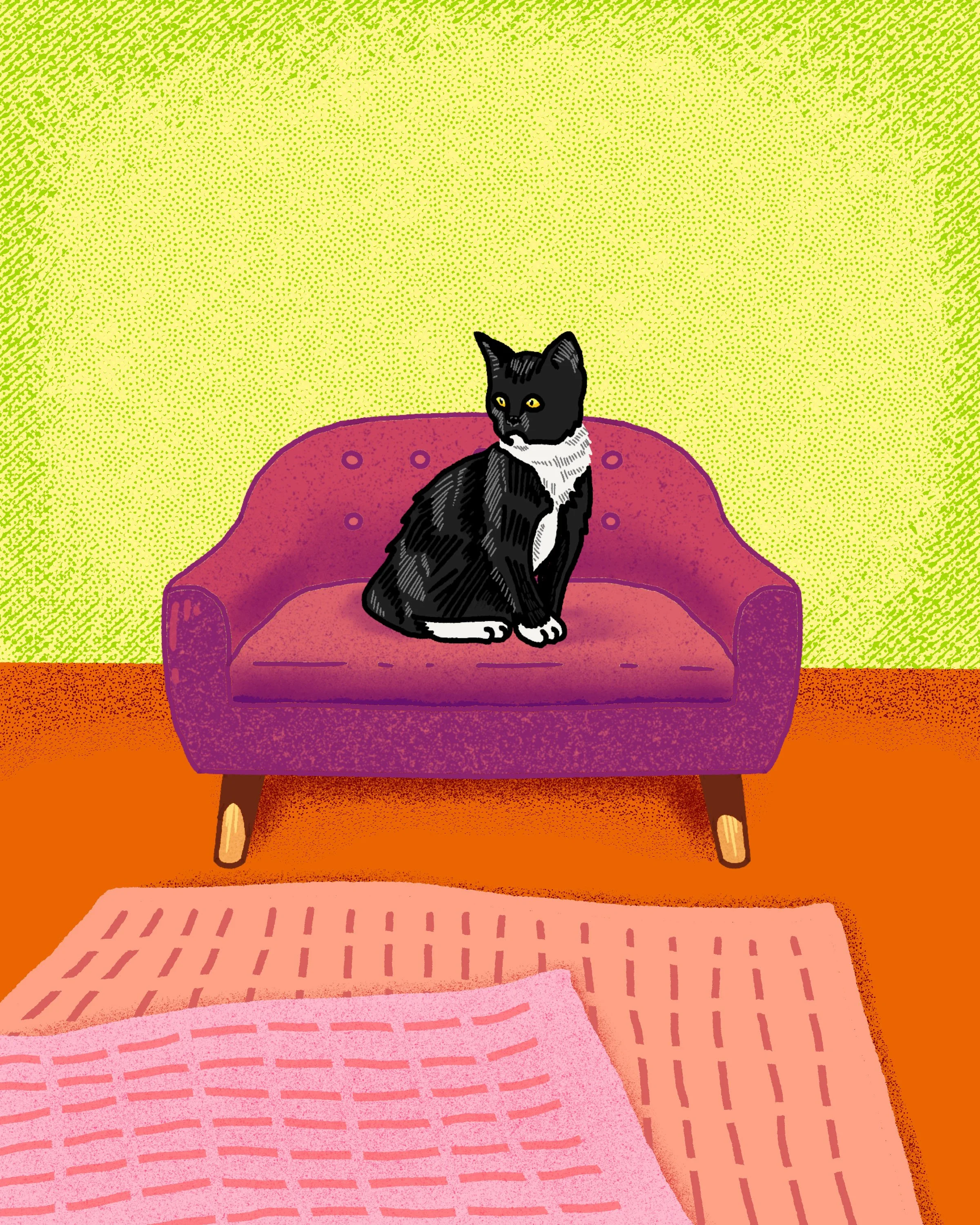 Sarah's Cat.jpg
