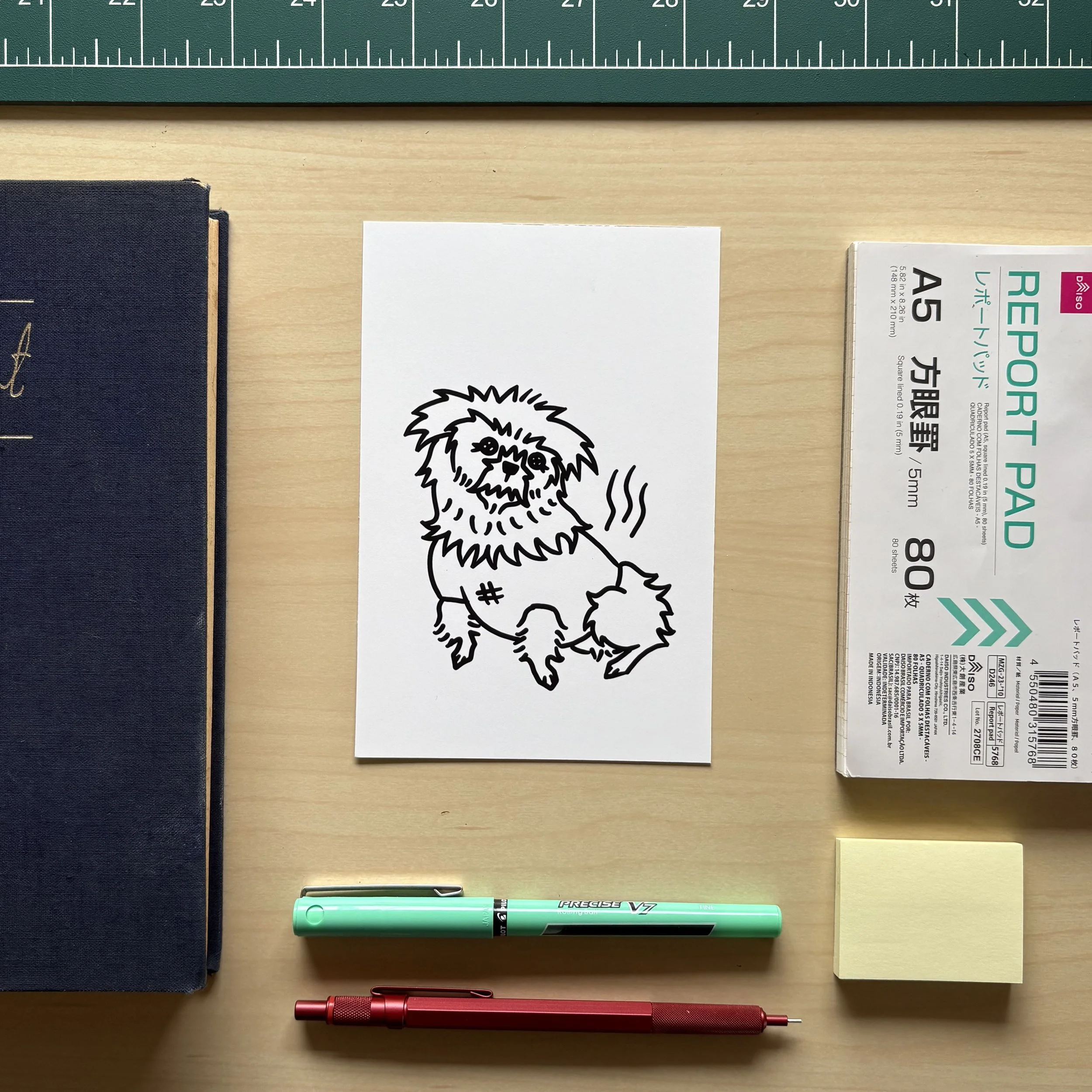 _Phyll Line copy.jpg