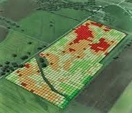 1.Plant health grid Map.jpeg