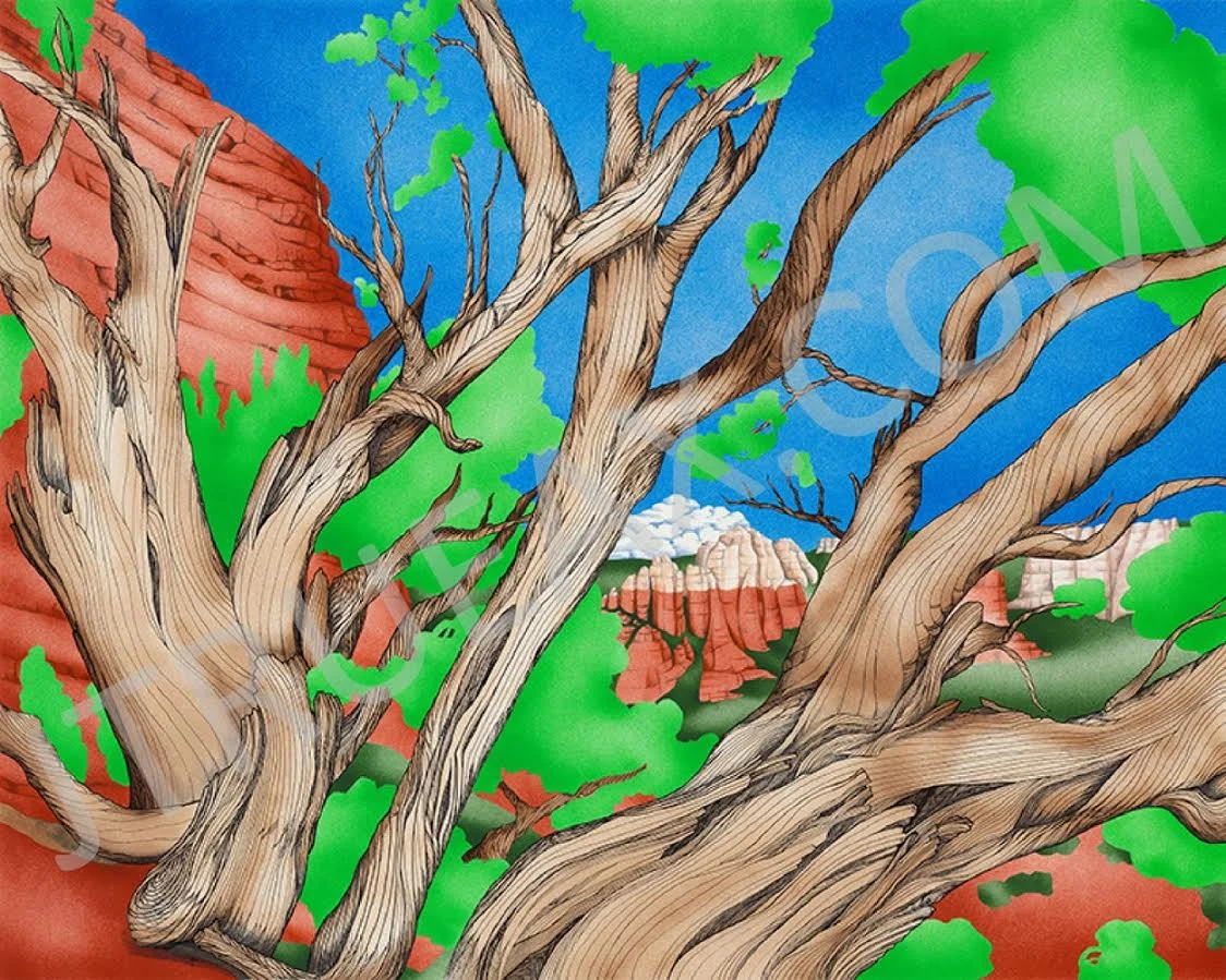   Bristle Cone Pine   16" x 20" [Image Area] | Airbrush + Colored Pencil l [Unframed]  Fine Art, Archival Quality, Limited Edition Print   $200.00 + Shipping &amp; Handling  -  13" x 10" [Image Area] | Airbrush + Colored Pencil l [Unframed]  65% Redu