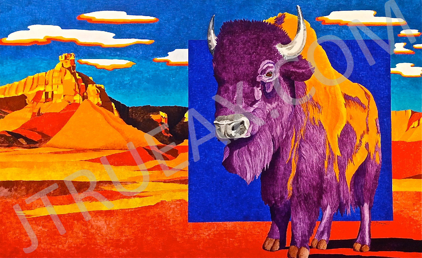   Ghost Ranch Buffalo   50" x 32" | Acrylic on Canvas | [Framed]   SOLD  
