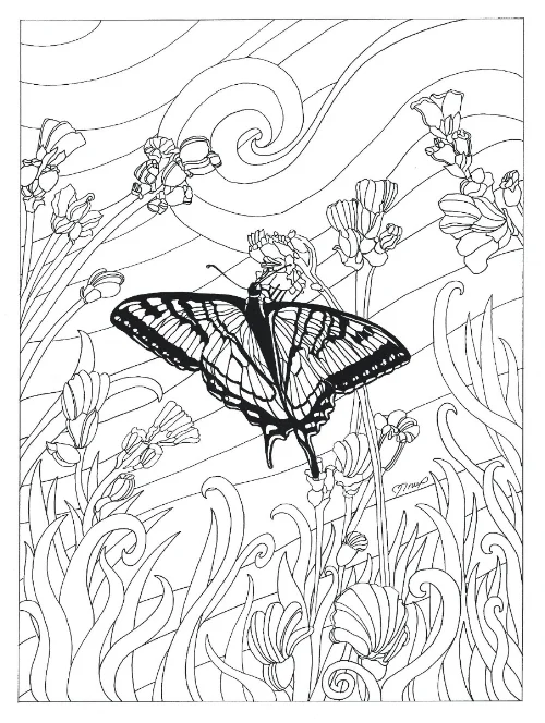   Butterfly   8" x 10" | Pen/Ink | [Included in Coloring Book] 