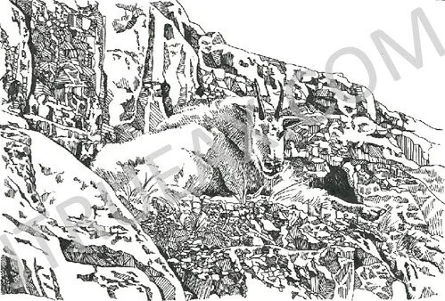   Mountain Goat on Mt. Evans   5" x 6" [Image Area] | Pen &amp; Ink | [Unframed]  Fine Art, Archival Quality, Open Edition Print  $35.00 + Shipping &amp; Handling 
